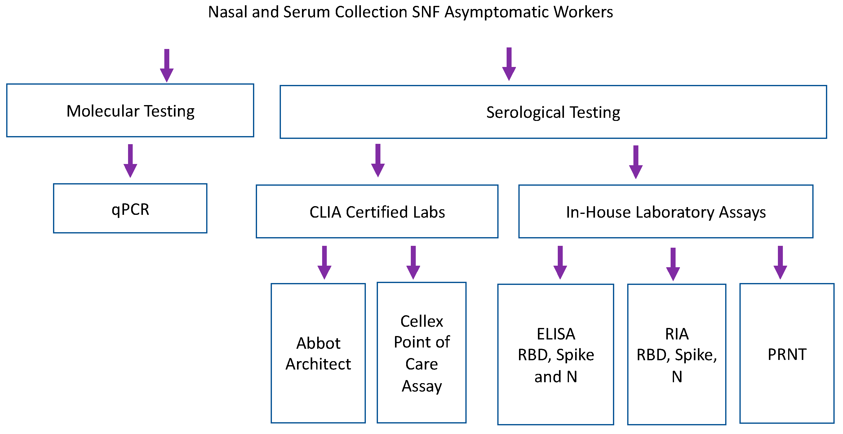 Viruses 15 00106 g003