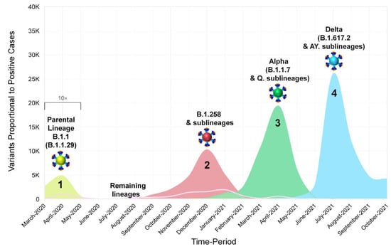 Viruses 15 00108 g002