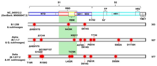 Viruses 15 00108 g003