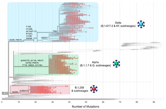 Viruses 15 00108 g004