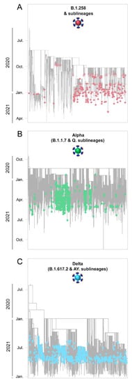 Viruses 15 00108 g006