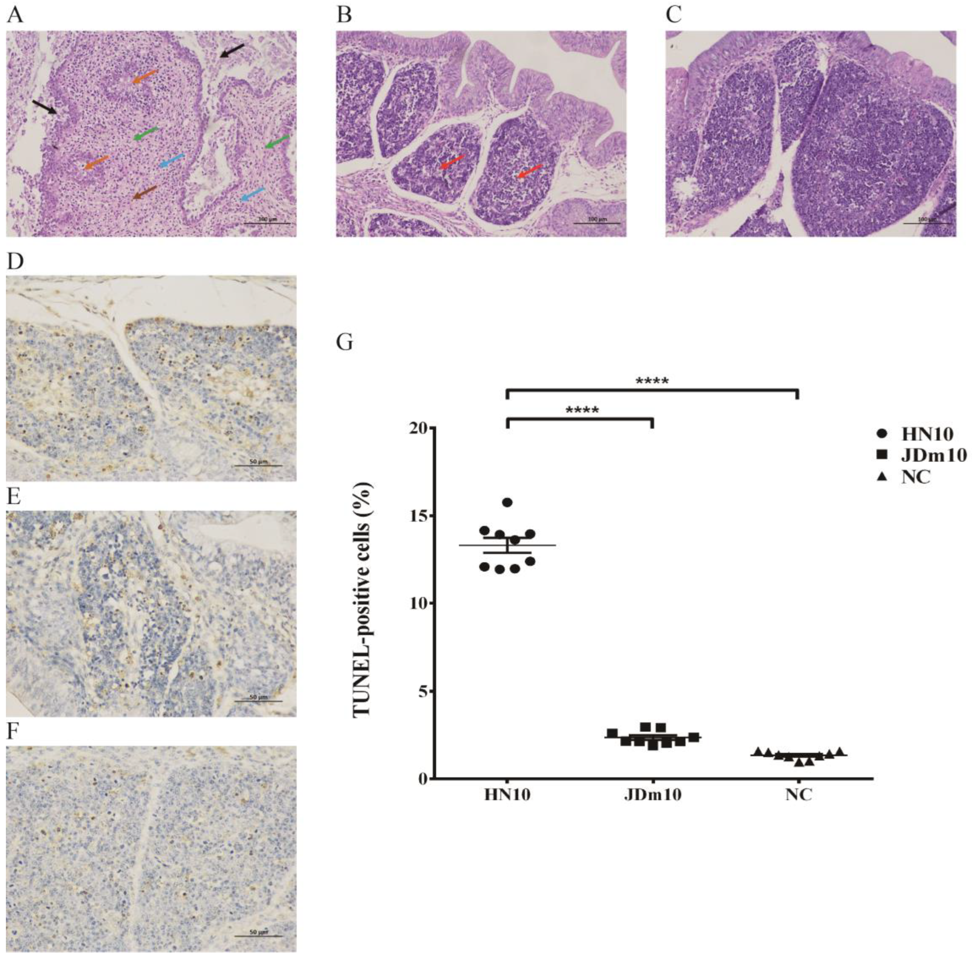 Viruses 15 00111 g001 Viruses 15 00111 g001