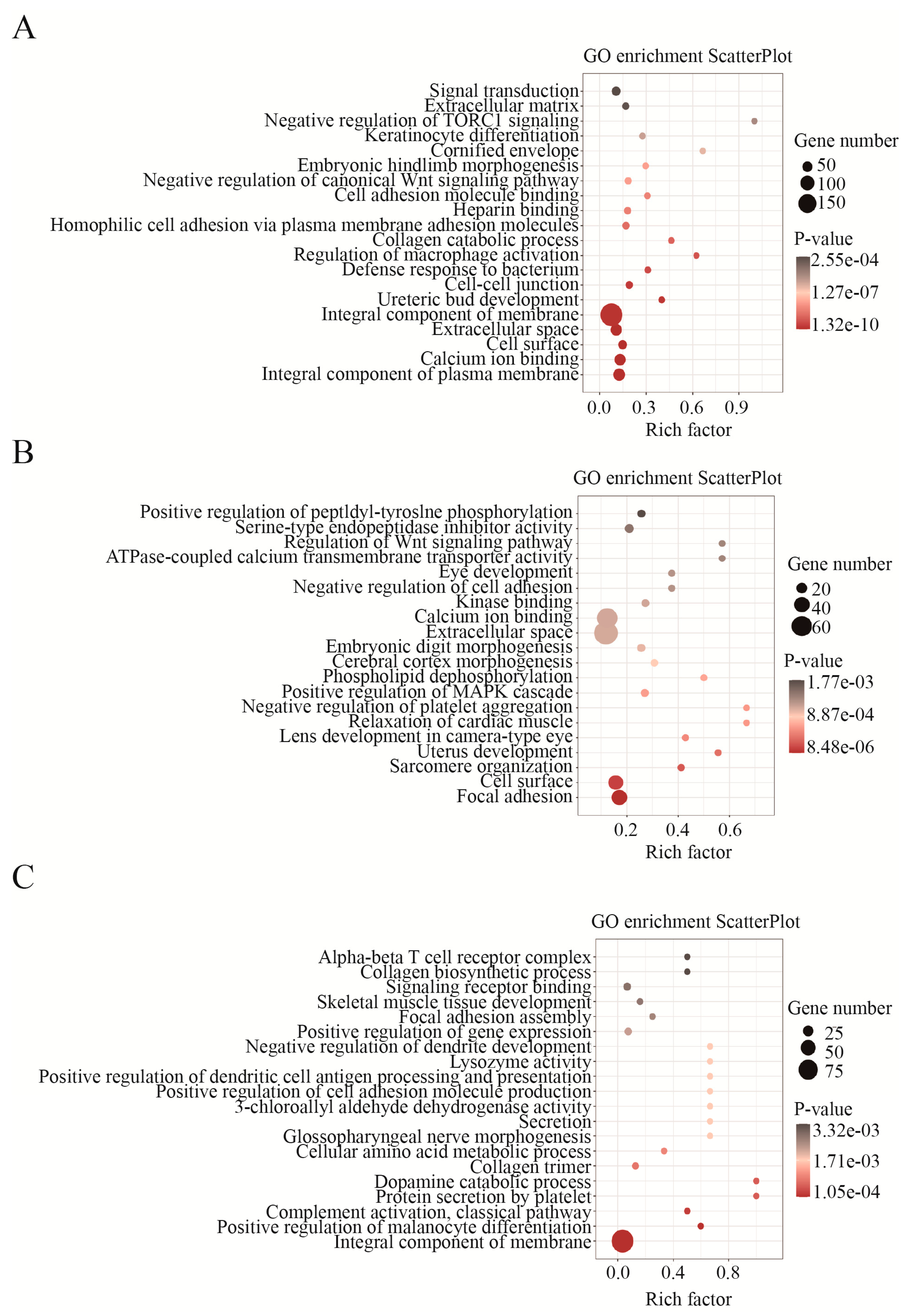 Viruses 15 00111 g003 Viruses 15 00111 g003