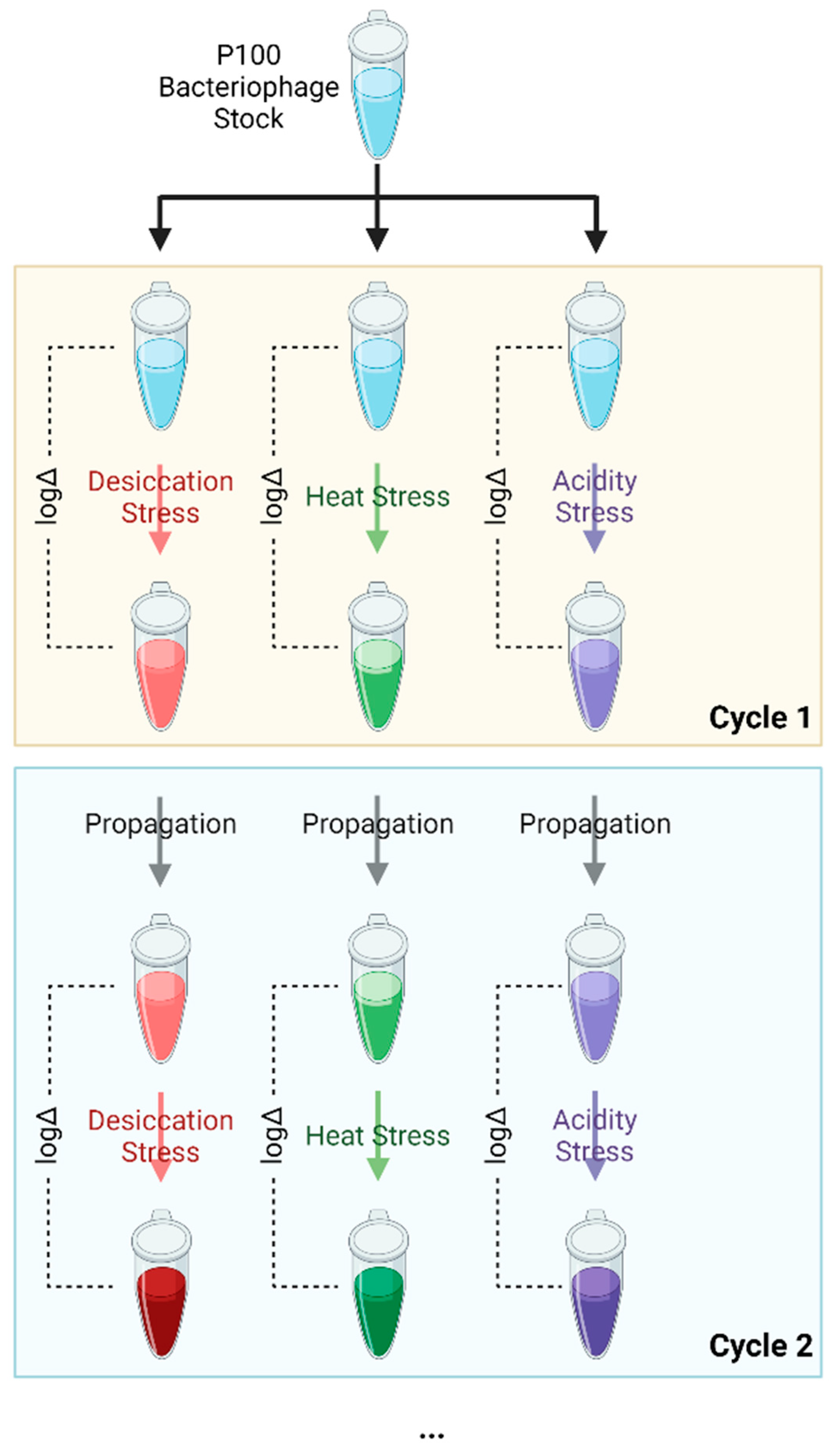 Viruses 15 00113 g001