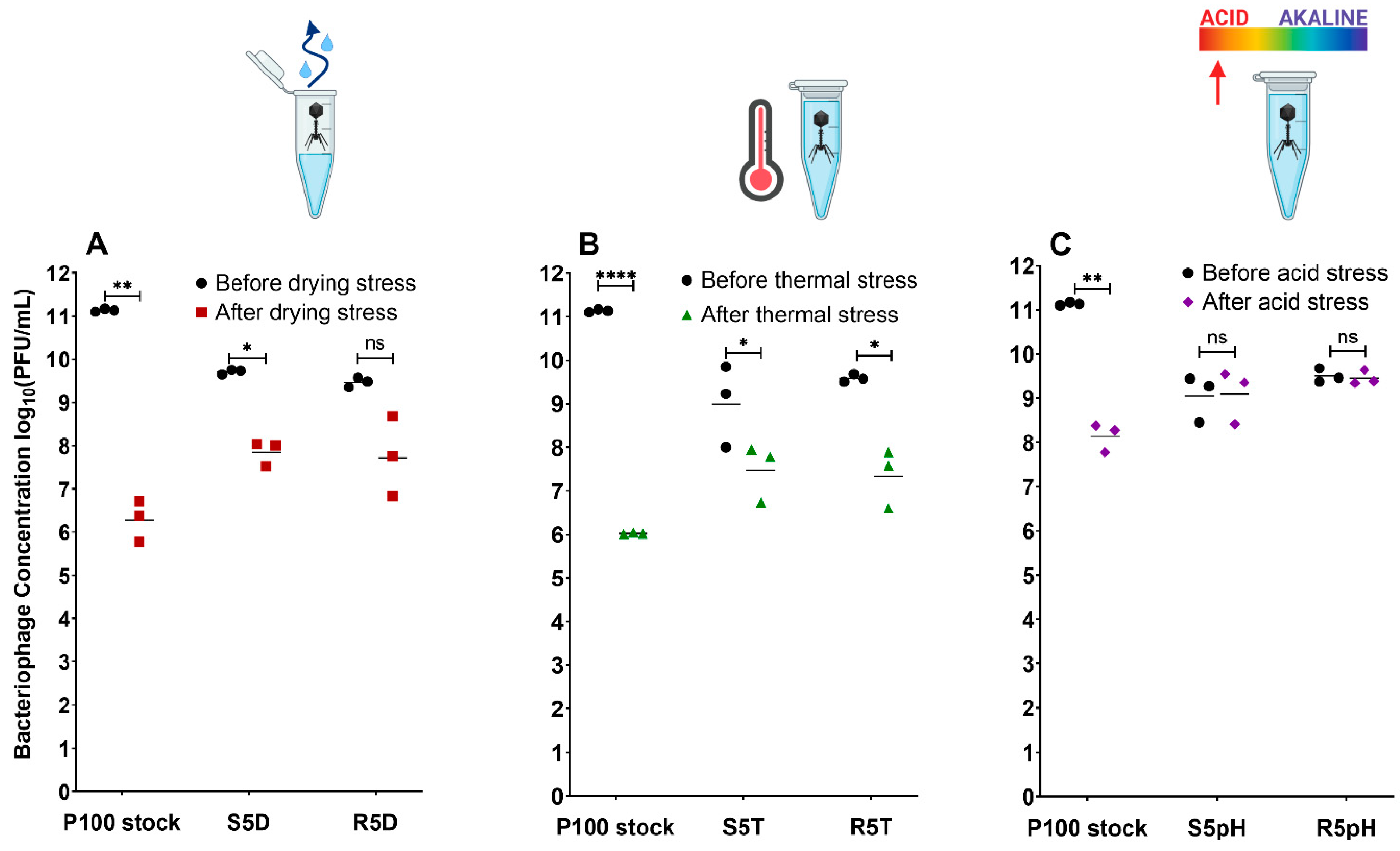 Viruses 15 00113 g002