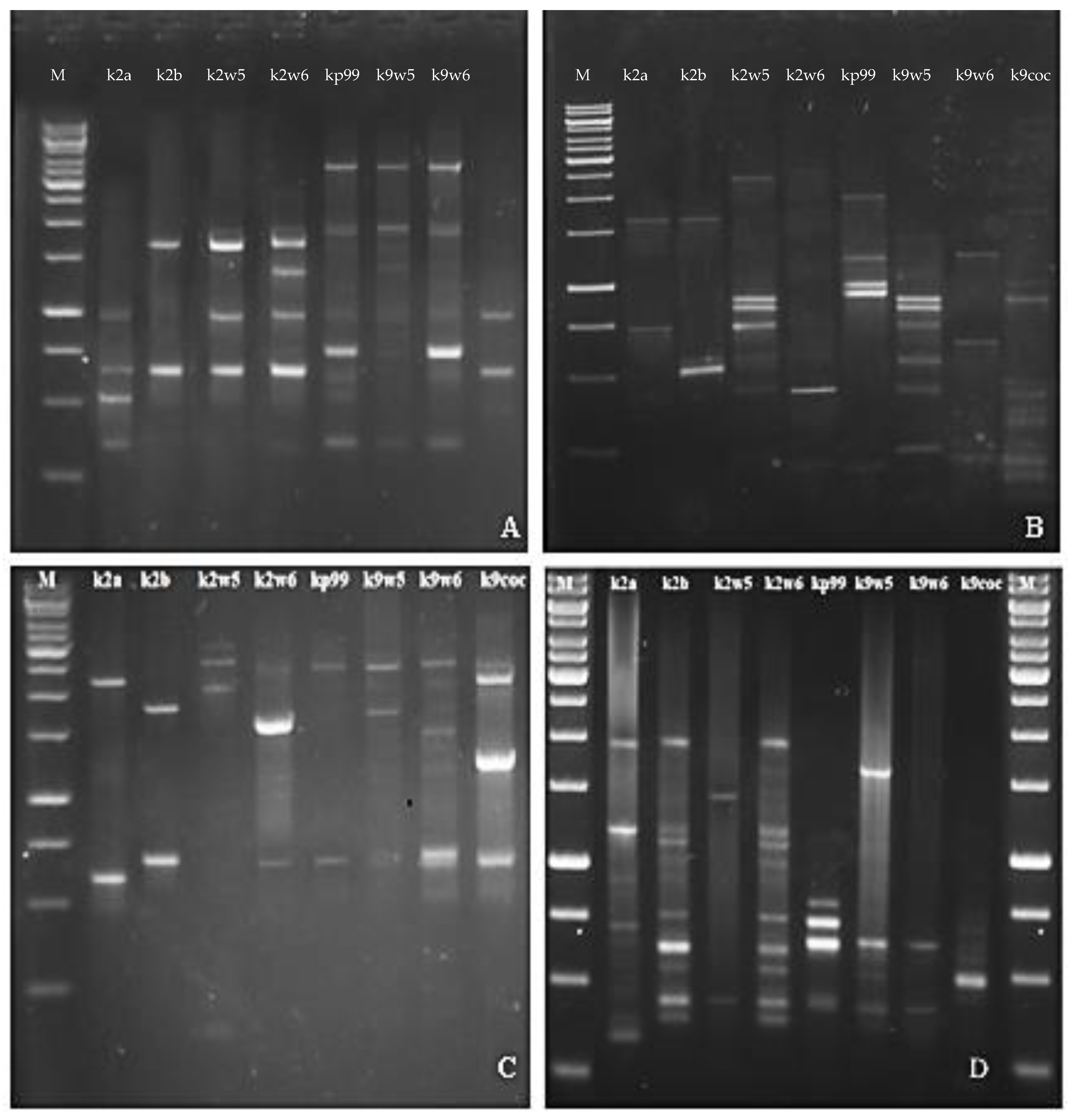 Viruses 15 00117 g006