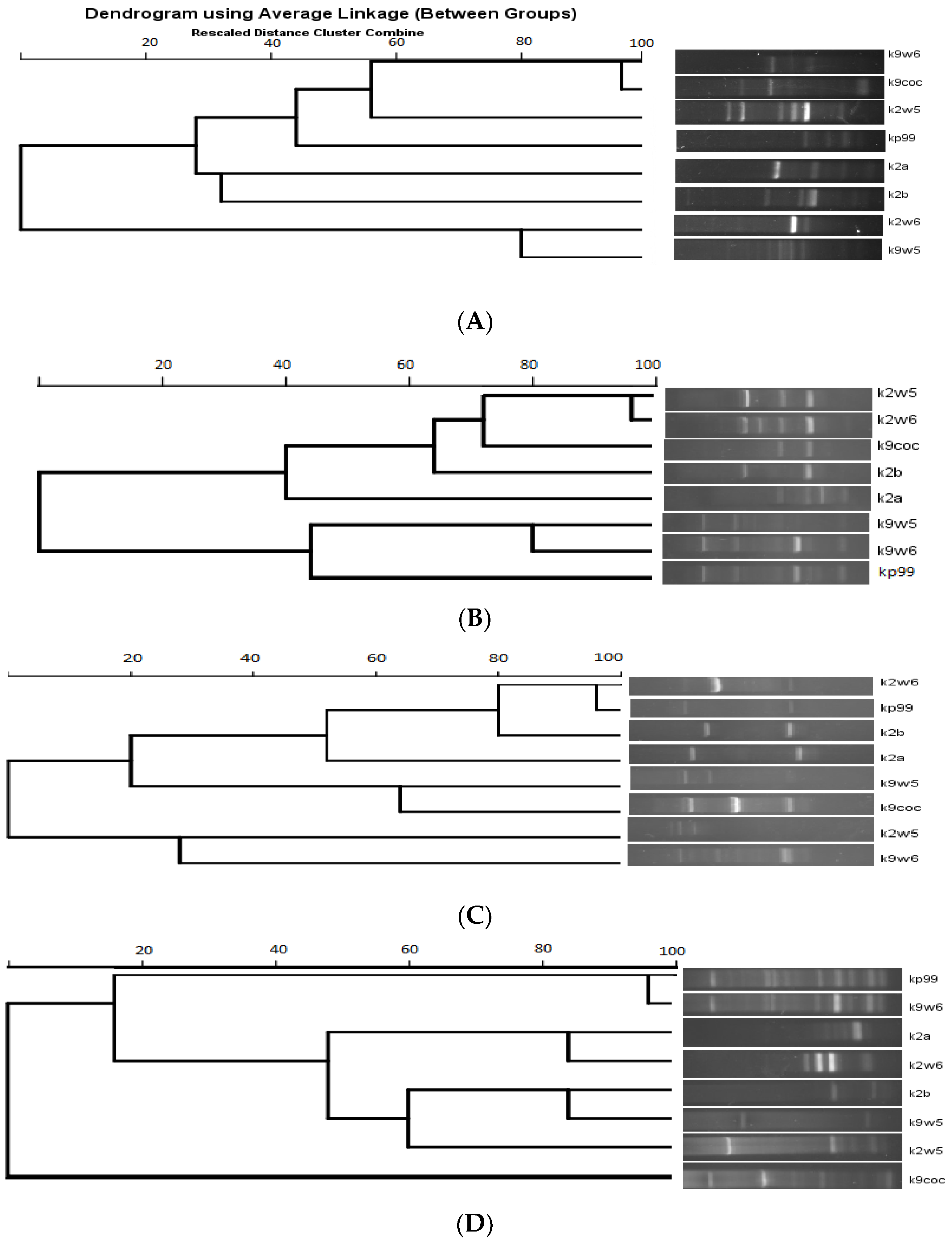 Viruses 15 00117 g007