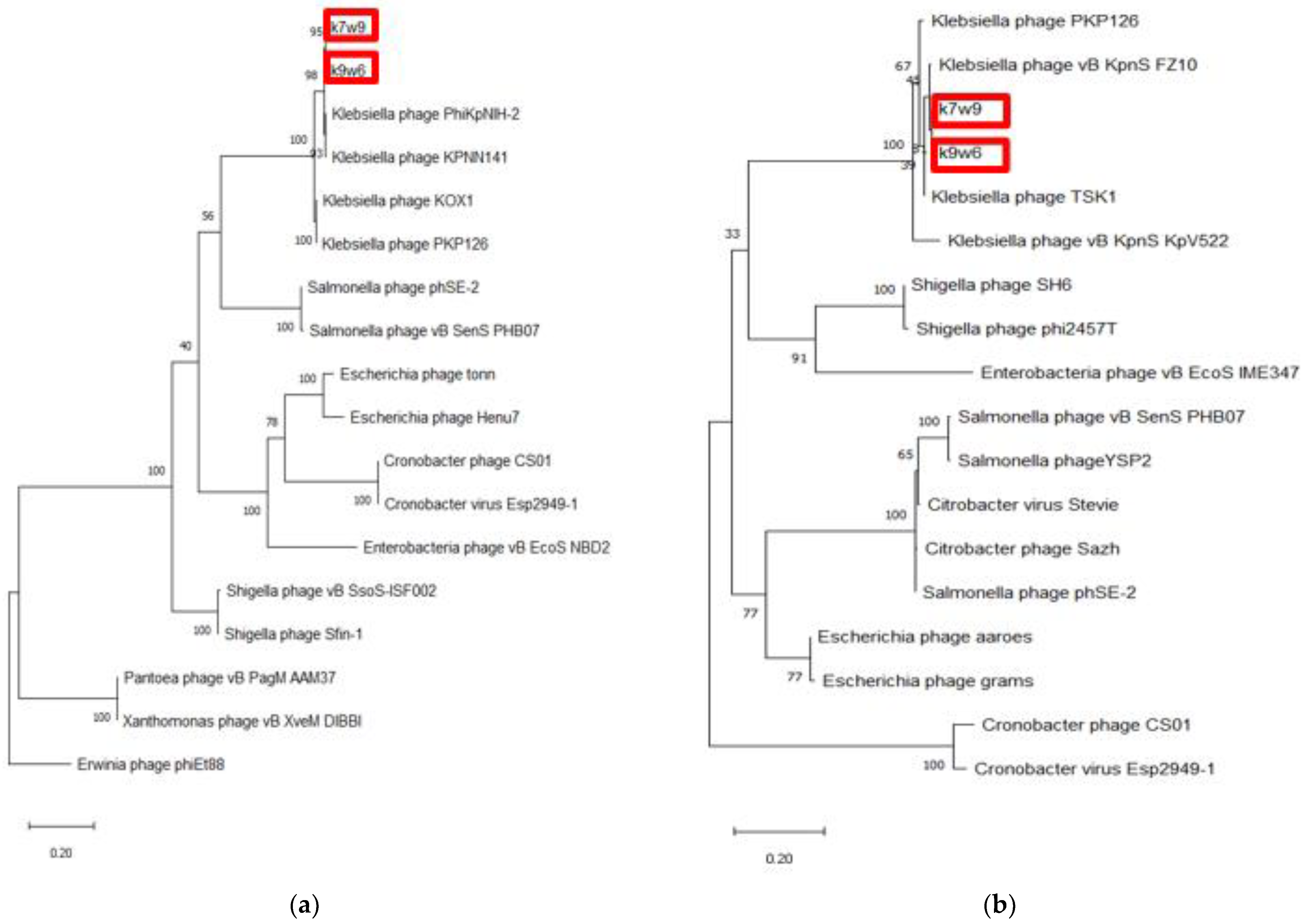 Viruses 15 00117 g009