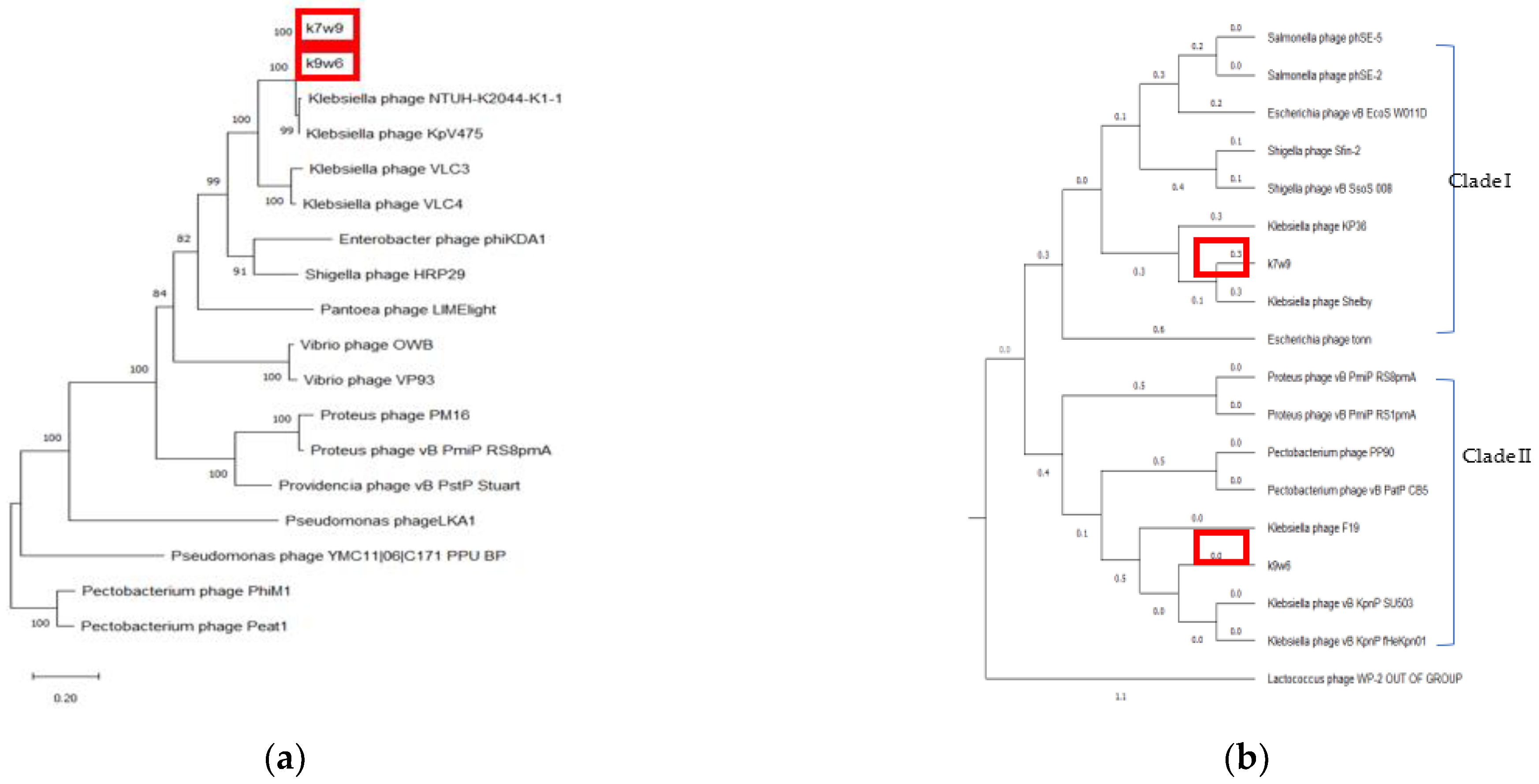 Viruses 15 00117 g010