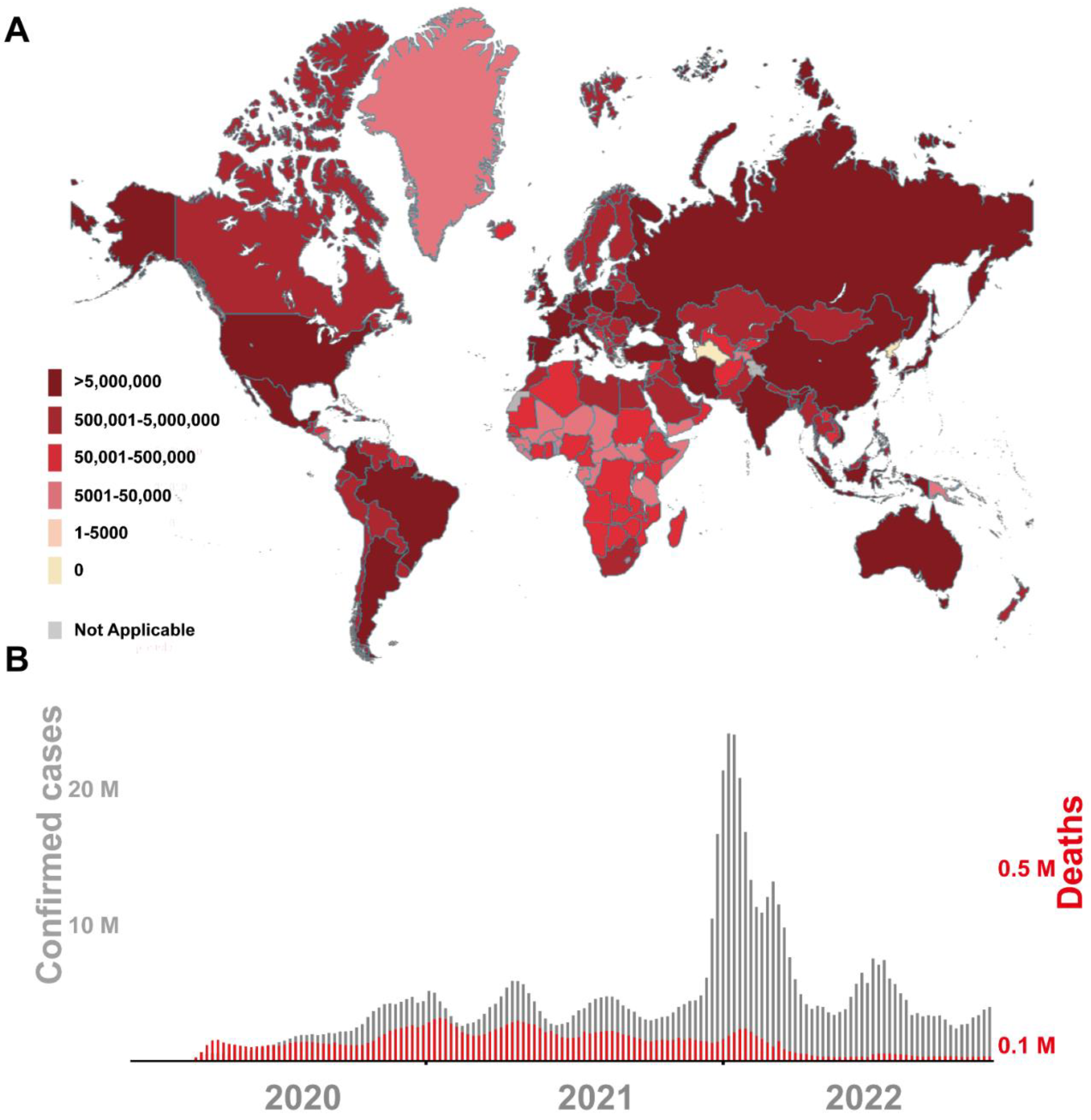 Viruses 15 00120 g001