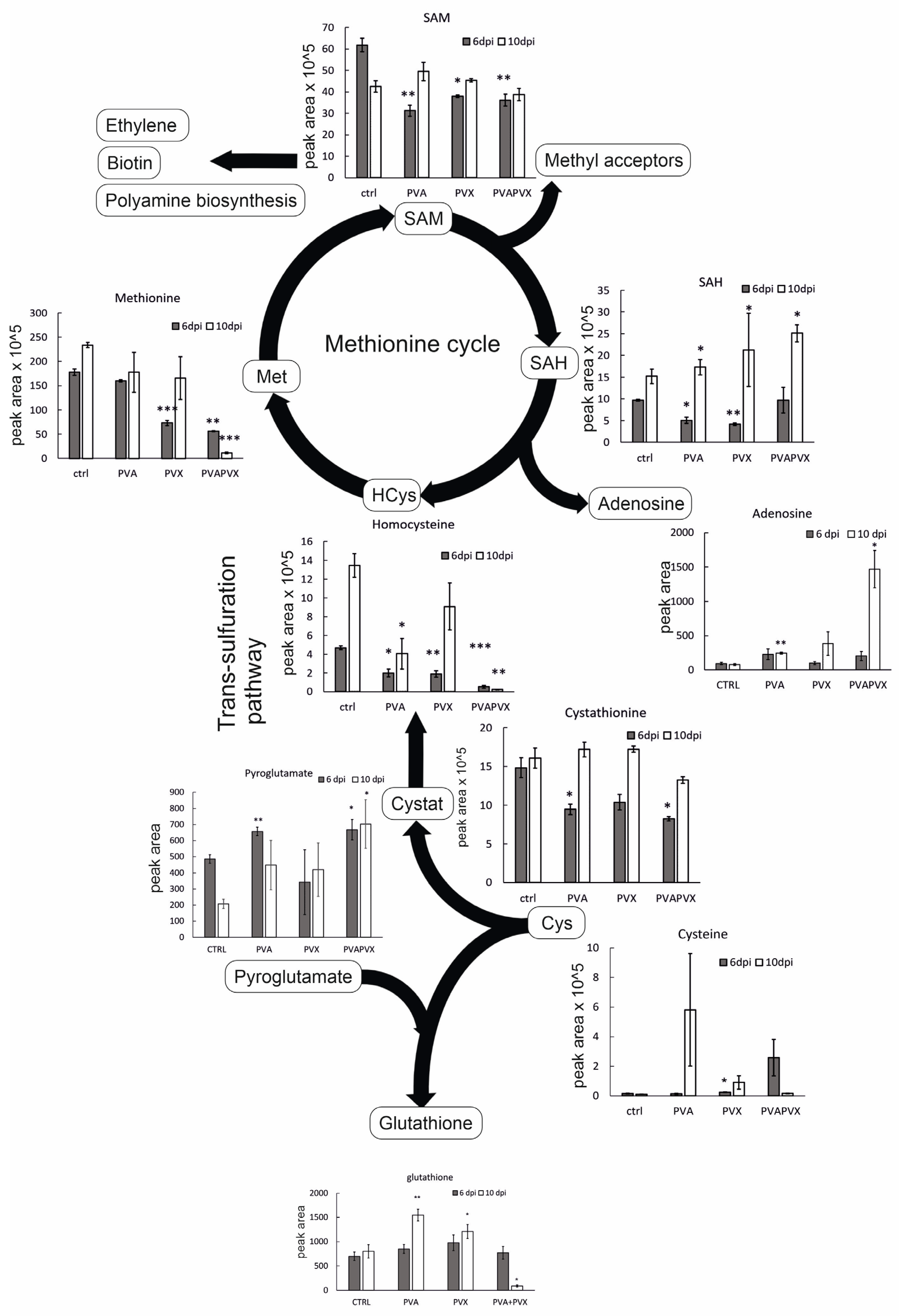 Viruses 15 00121 g005 Viruses 15 00121 g005