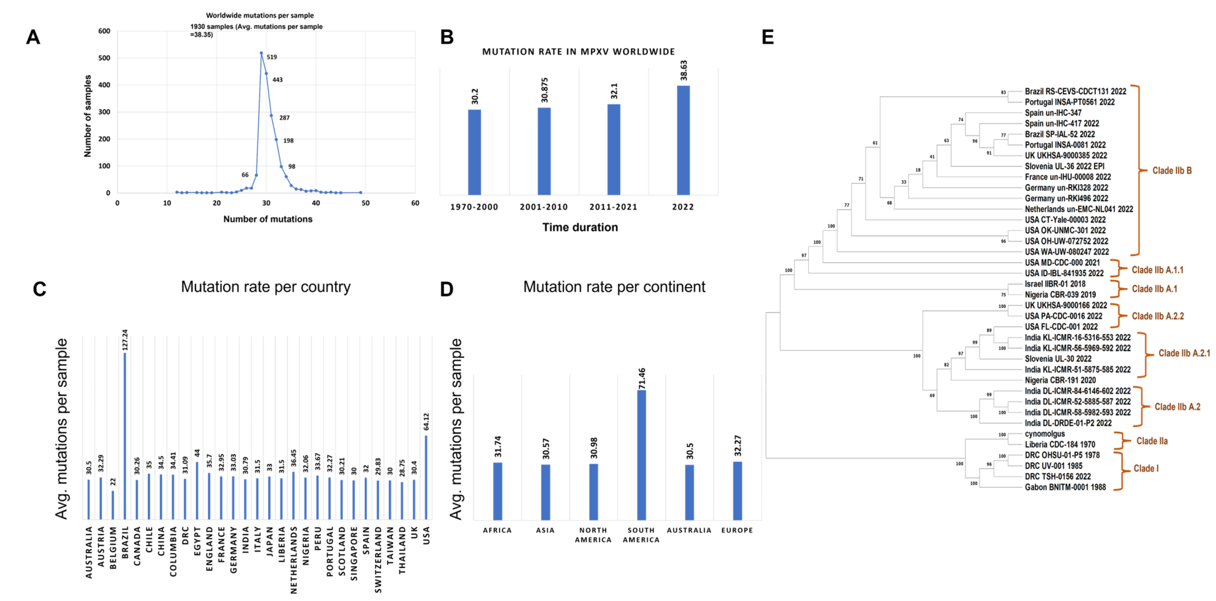 Viruses 15 00127 g001