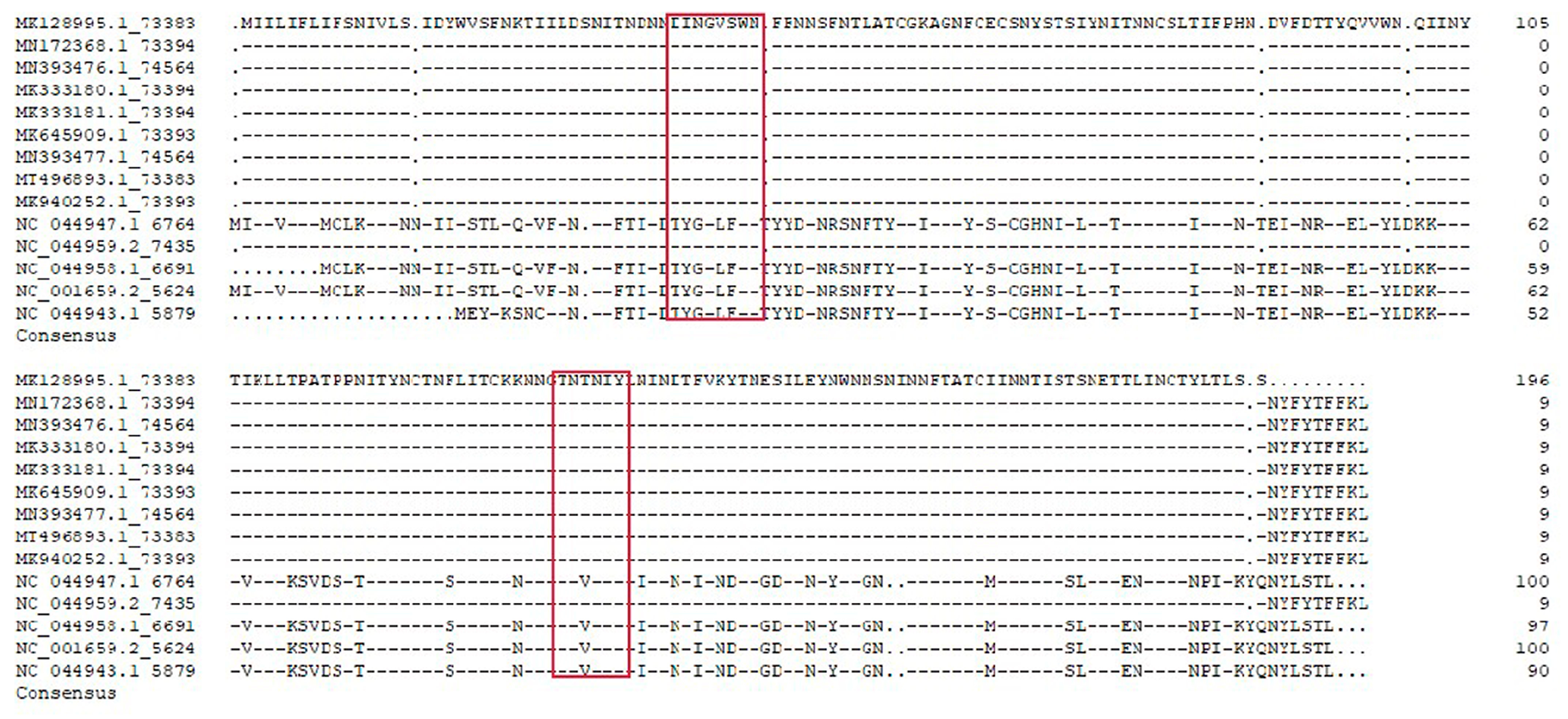 Viruses 15 00131 g005