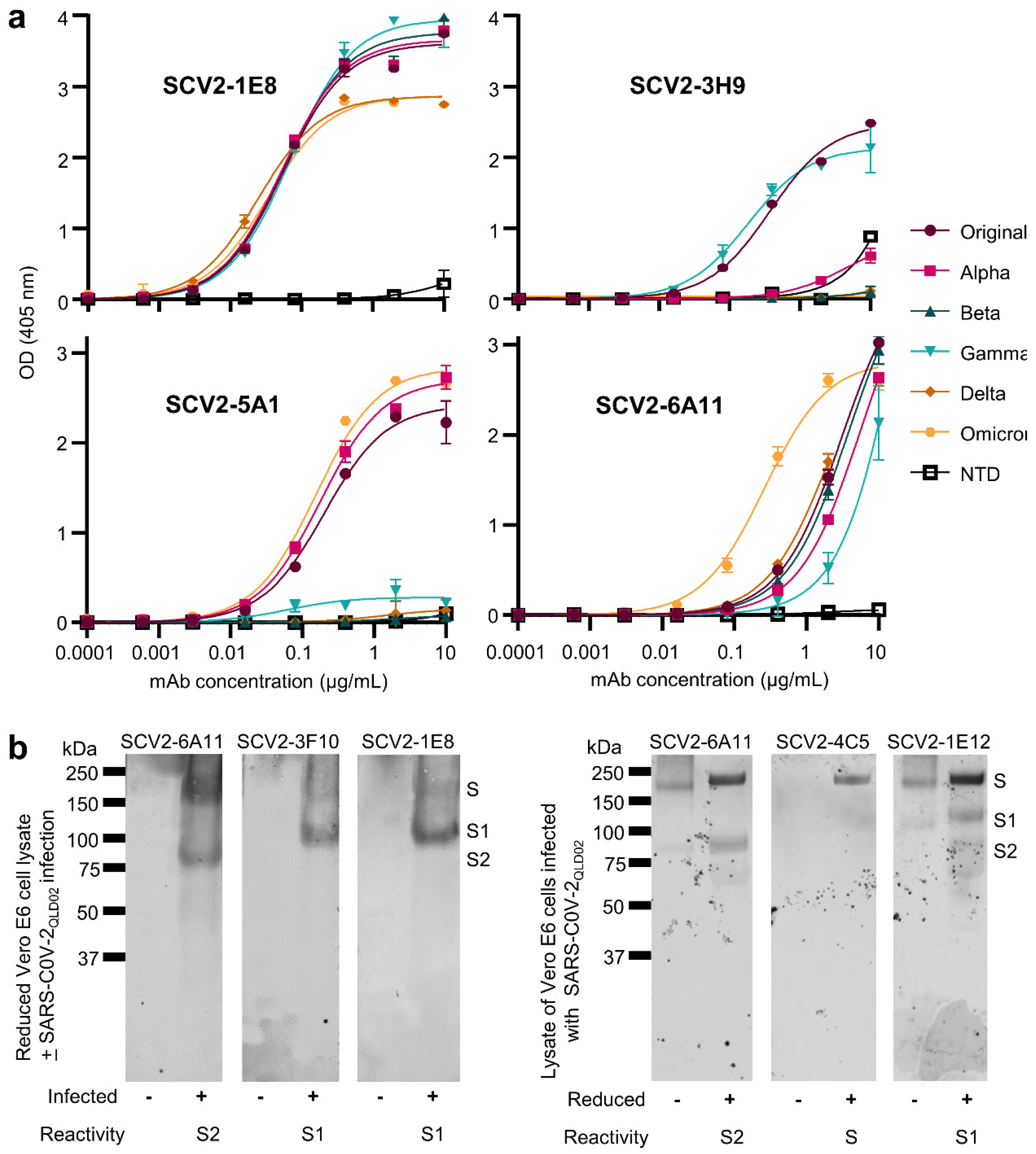 Viruses 15 00139 g003