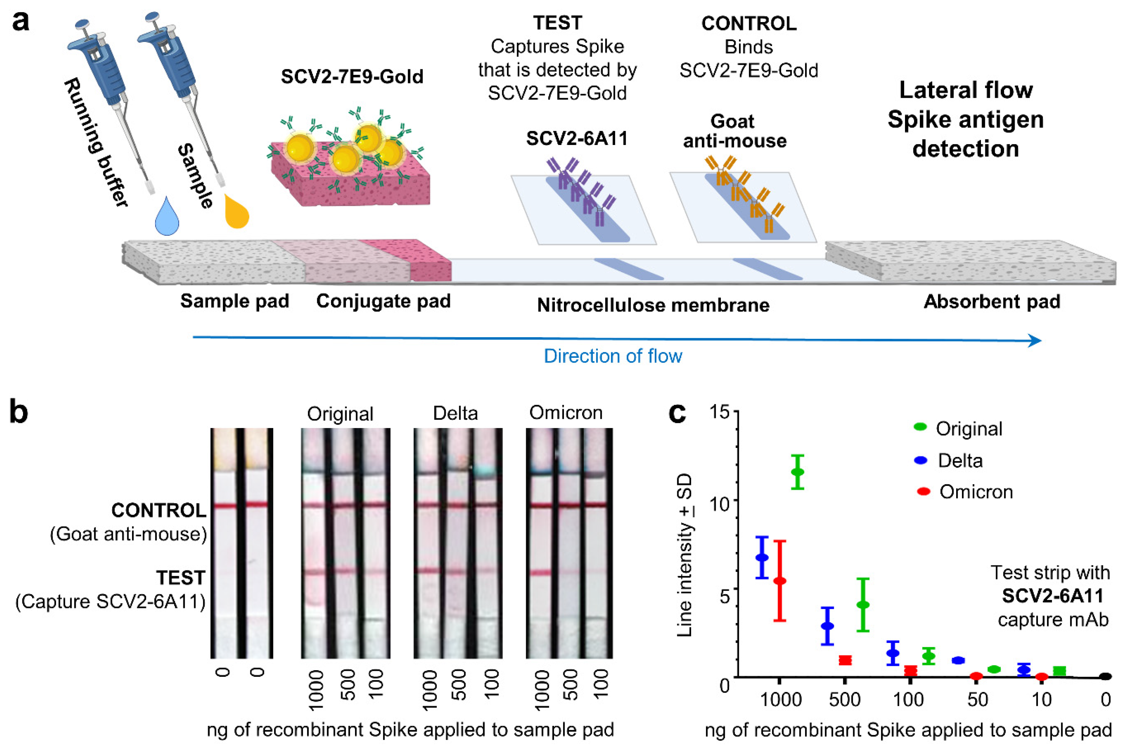 Viruses 15 00139 g004