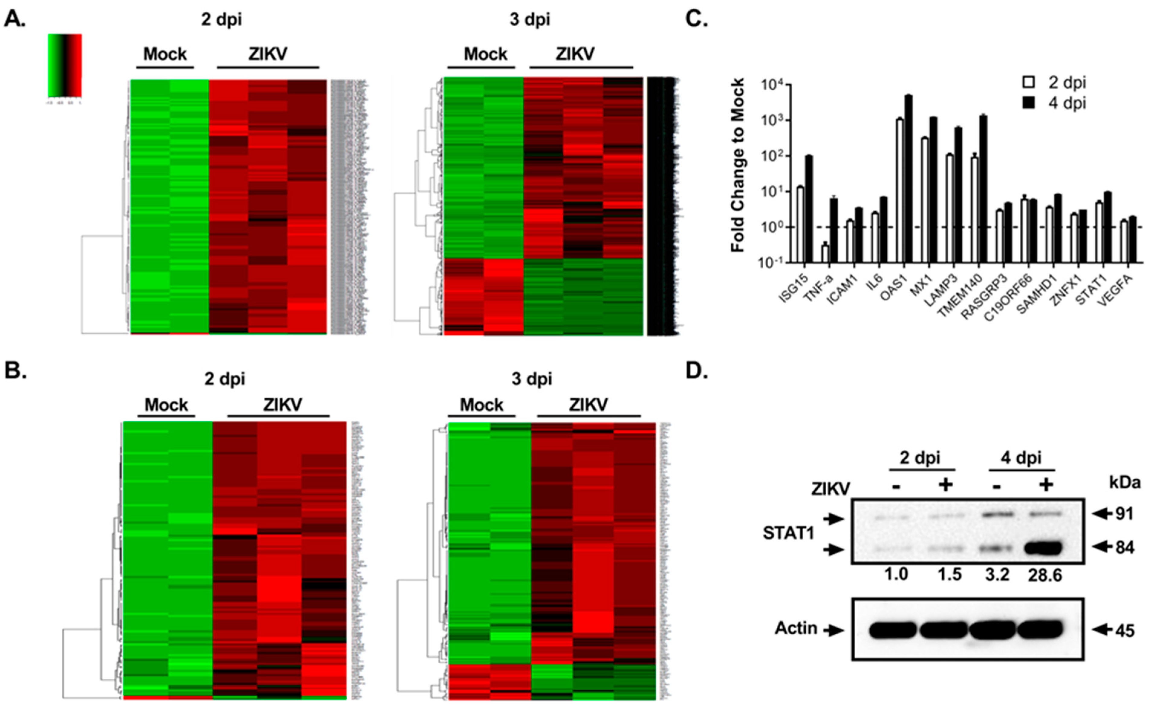 Viruses 15 00142 g002 Viruses 15 00142 g002