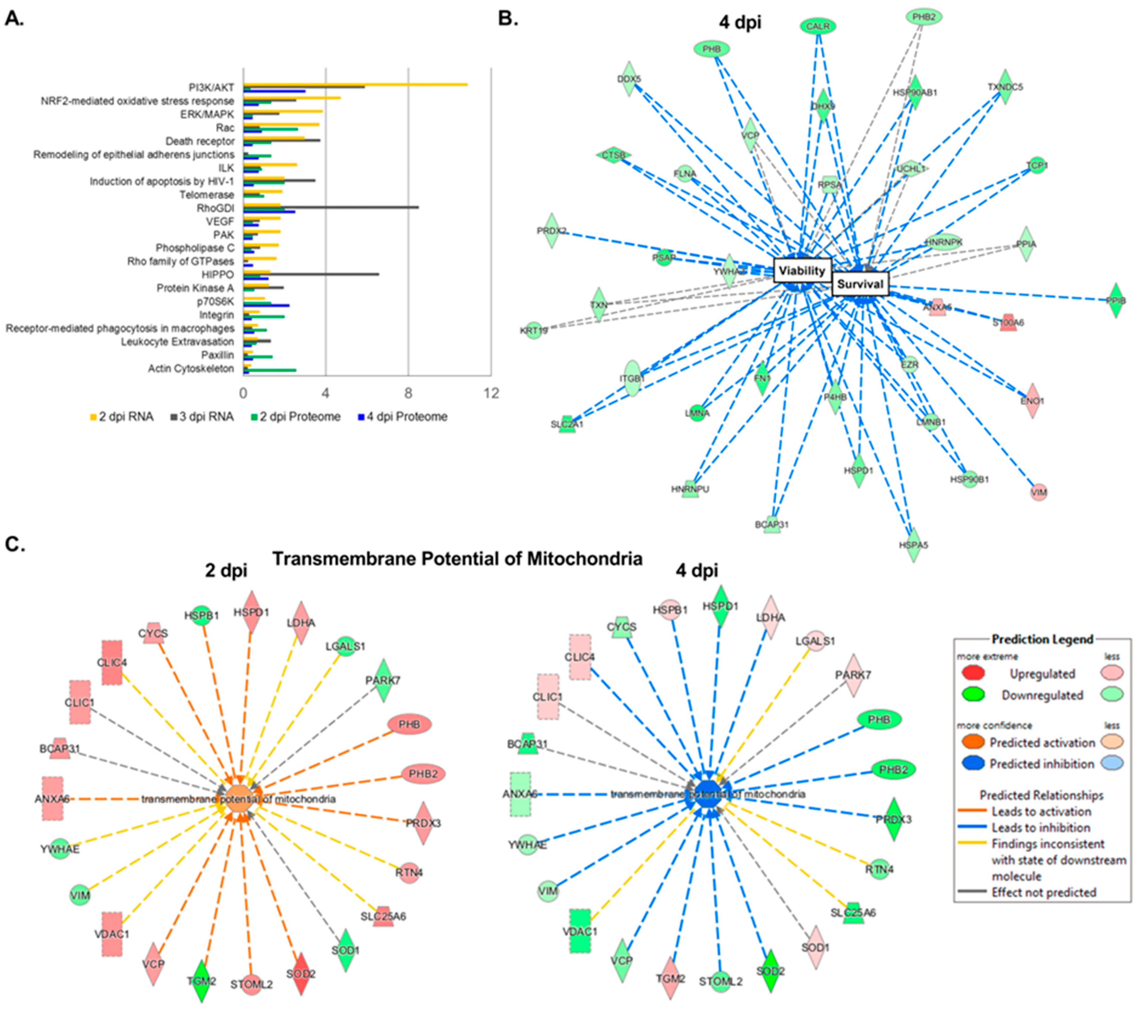 Viruses 15 00142 g003 Viruses 15 00142 g003