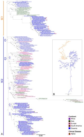 Viruses 15 00143 g004