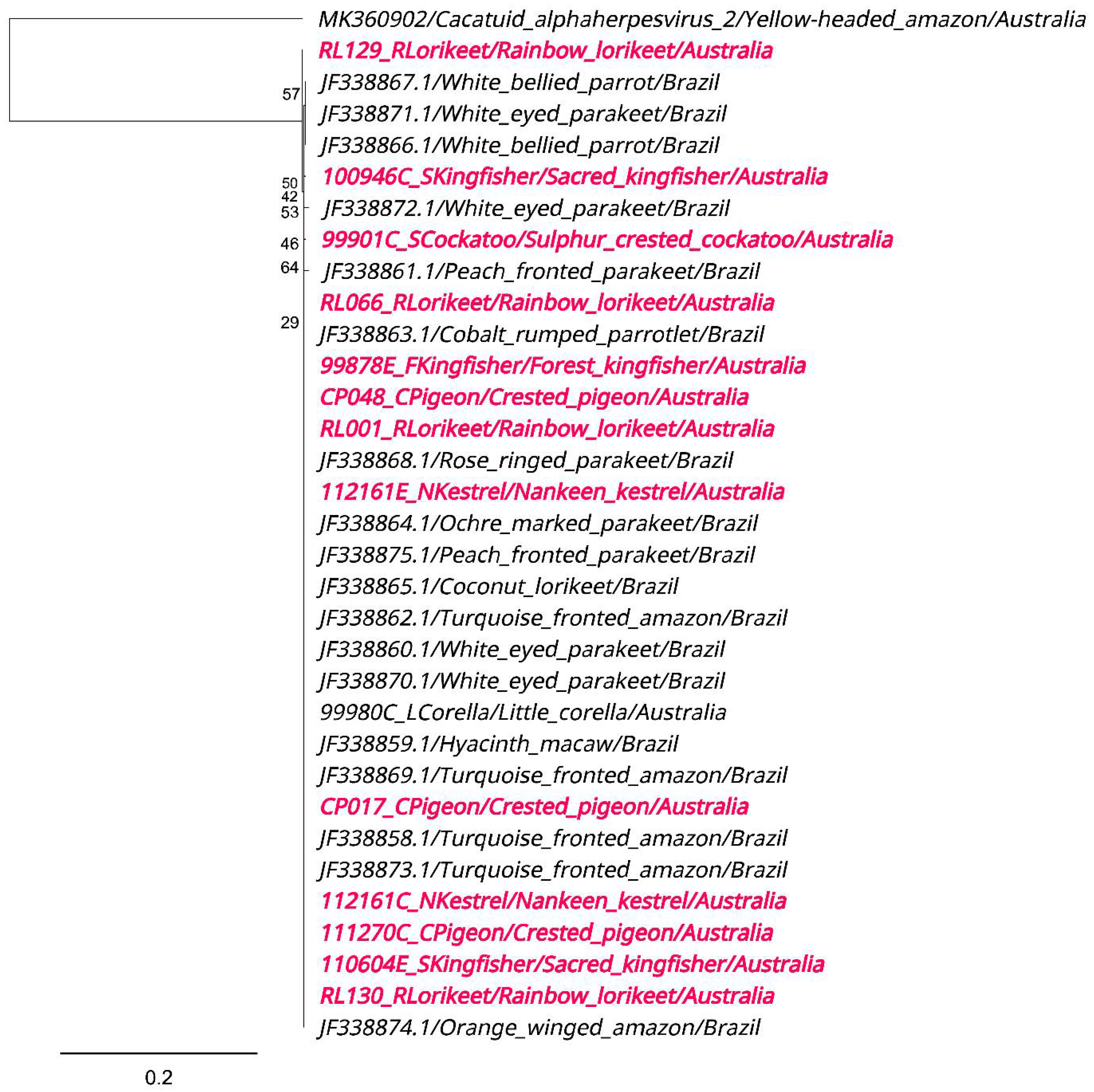 Viruses 15 00143 g006 Viruses 15 00143 g006