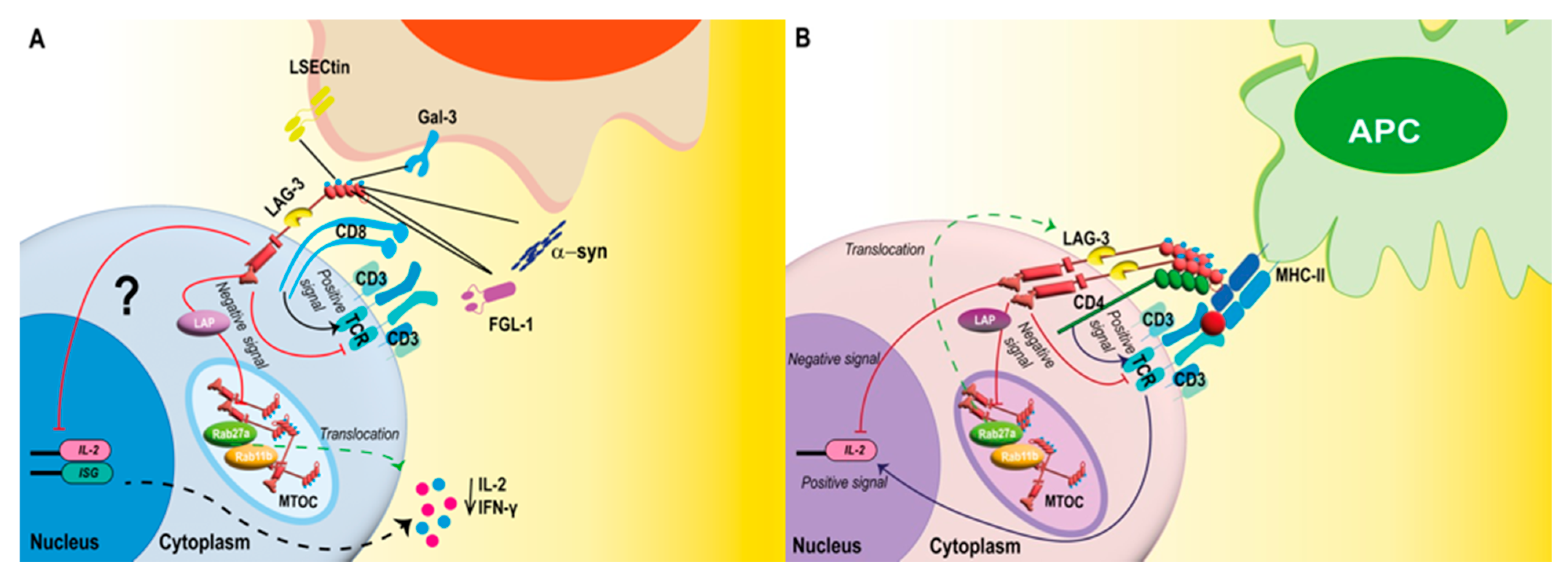 Viruses 15 00147 g002