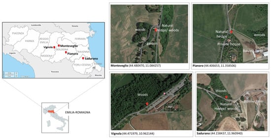 Viruses 15 00148 g001