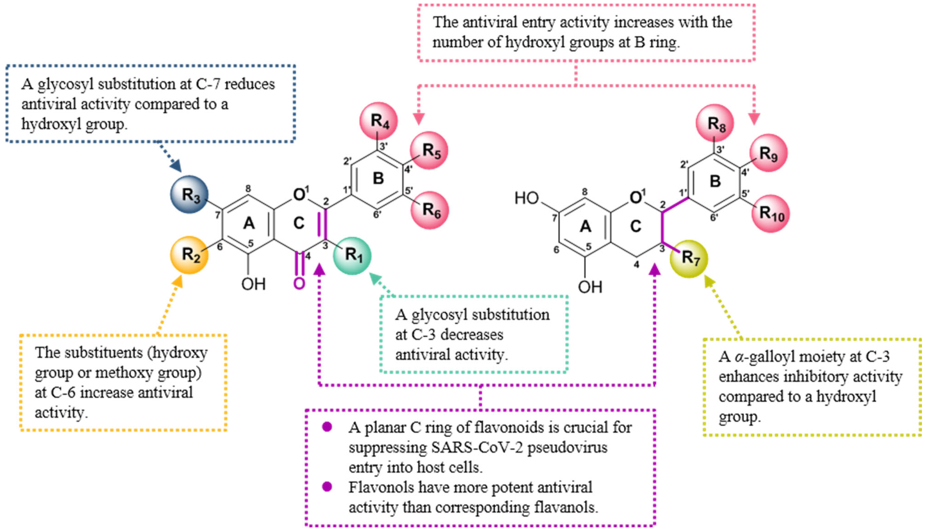 Viruses 15 00160 g003