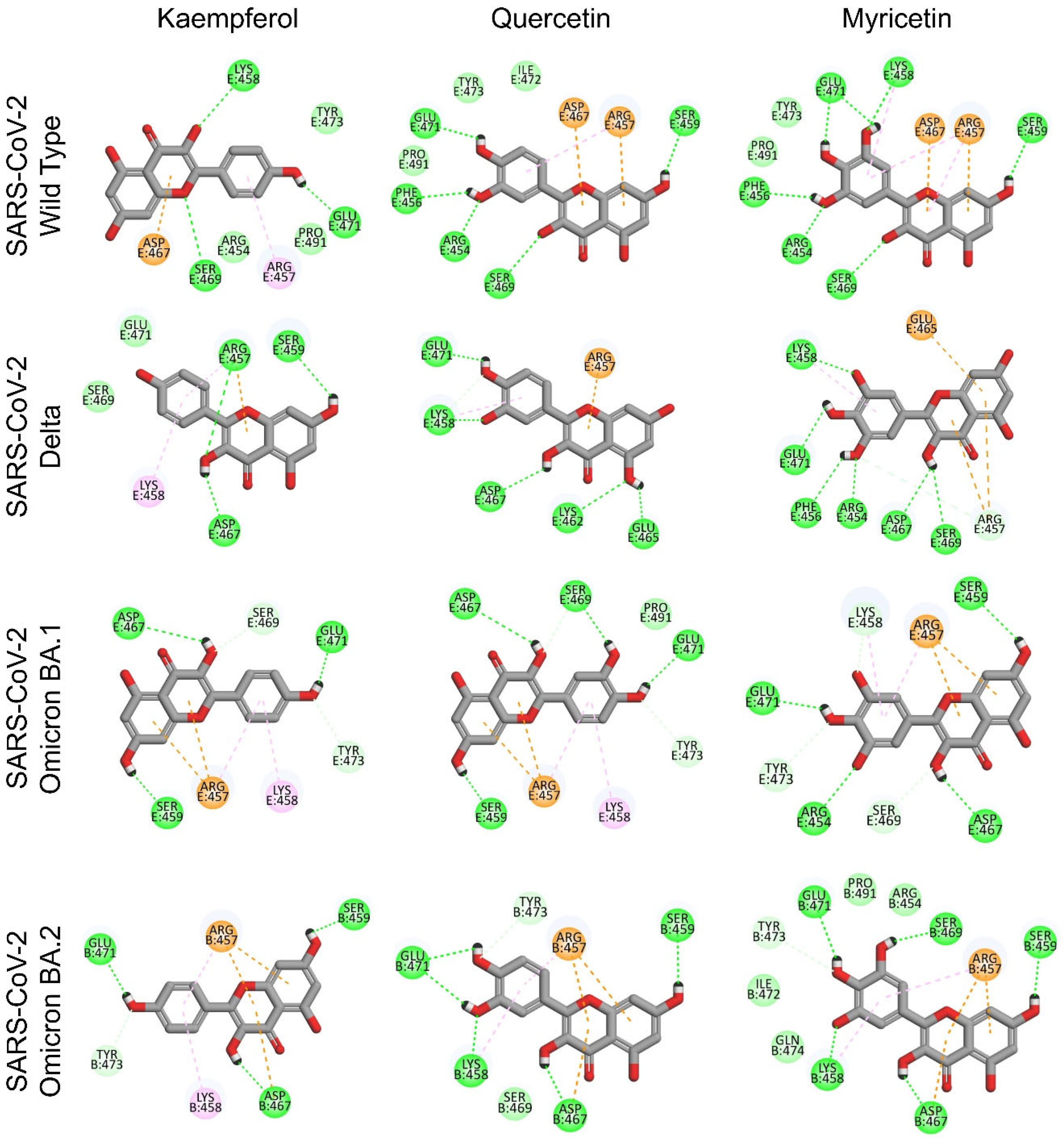 Viruses 15 00160 g006