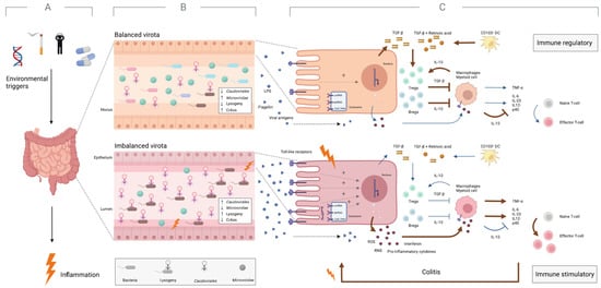 Viruses 15 00173 g003