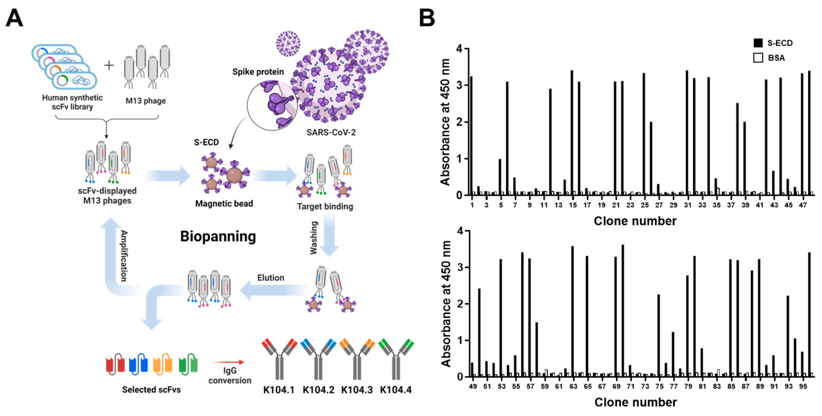 Viruses 15 00174 g001