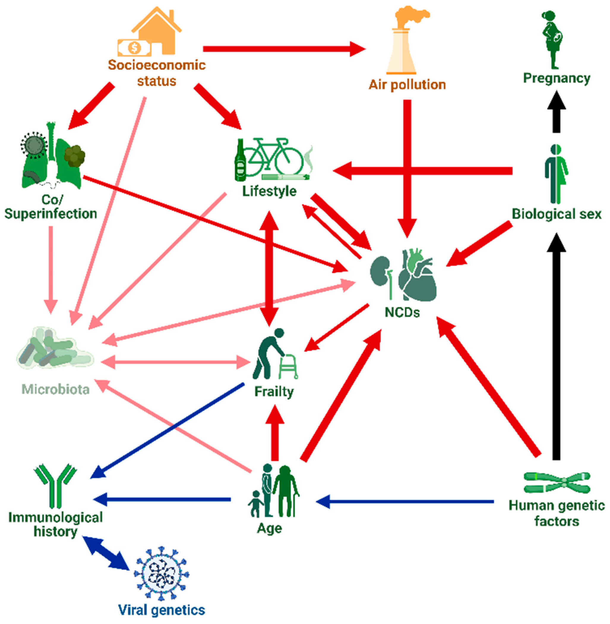 Viruses 15 00175 g001