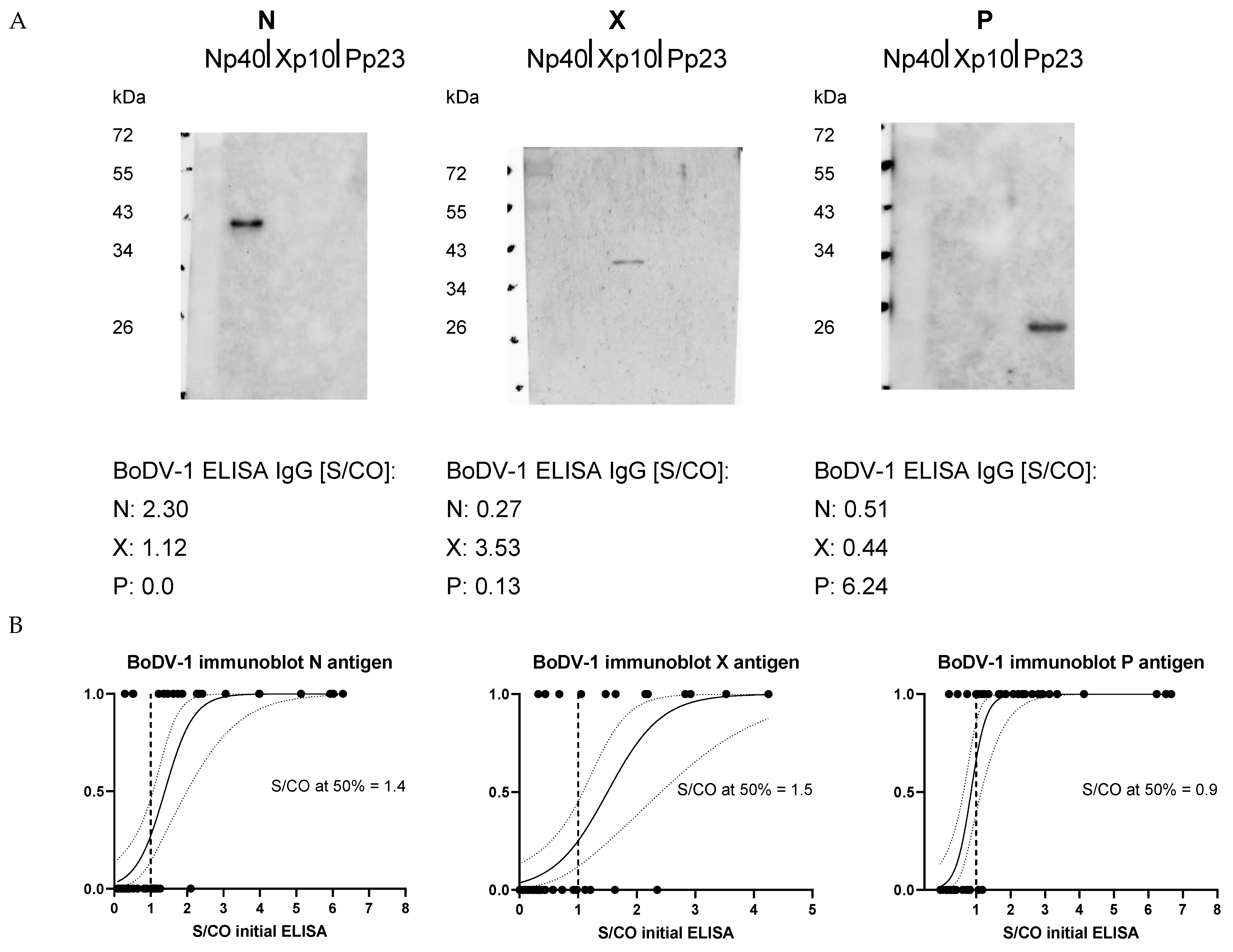 Viruses 15 00188 g002