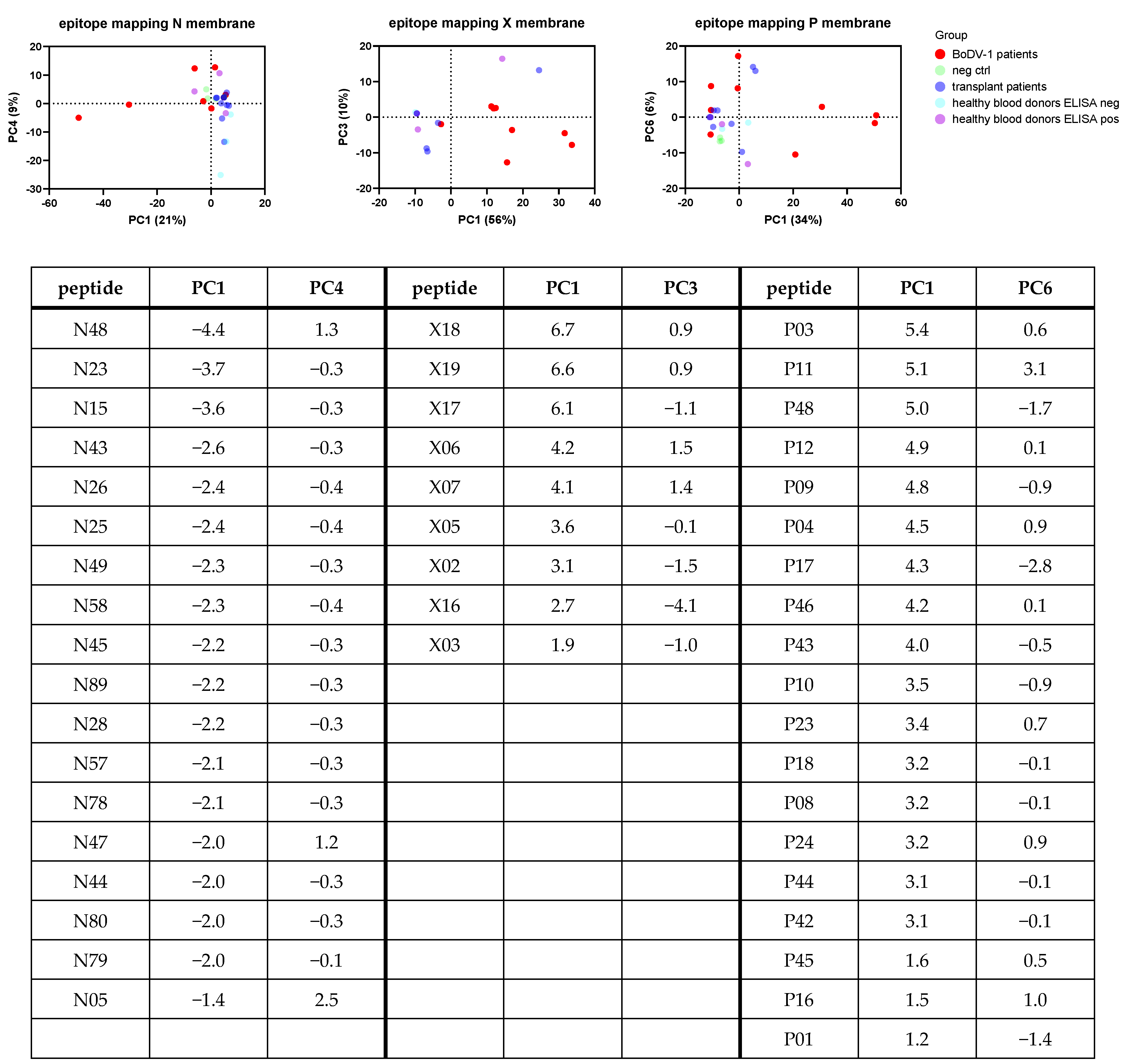 Viruses 15 00188 g004