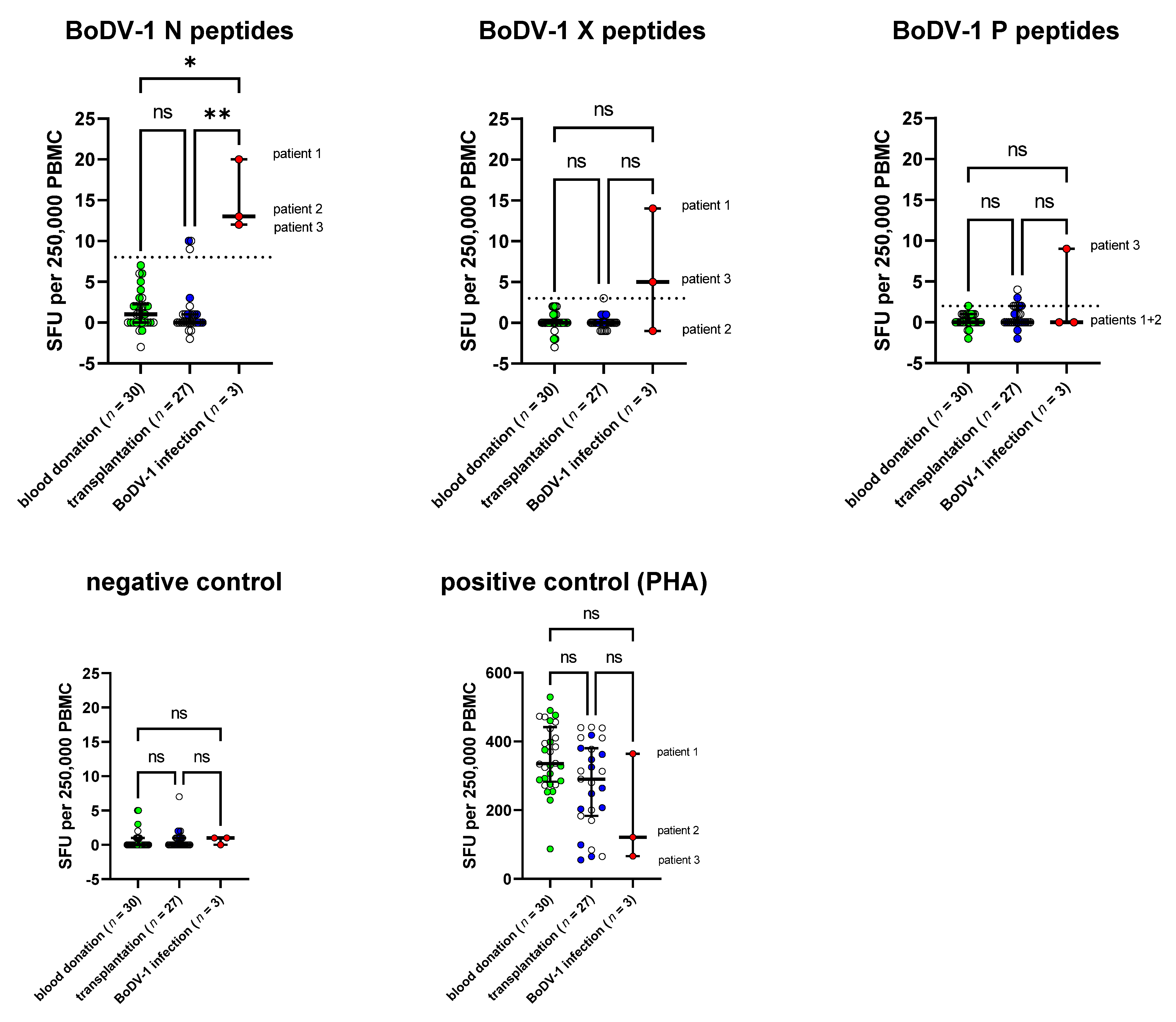 Viruses 15 00194 g001