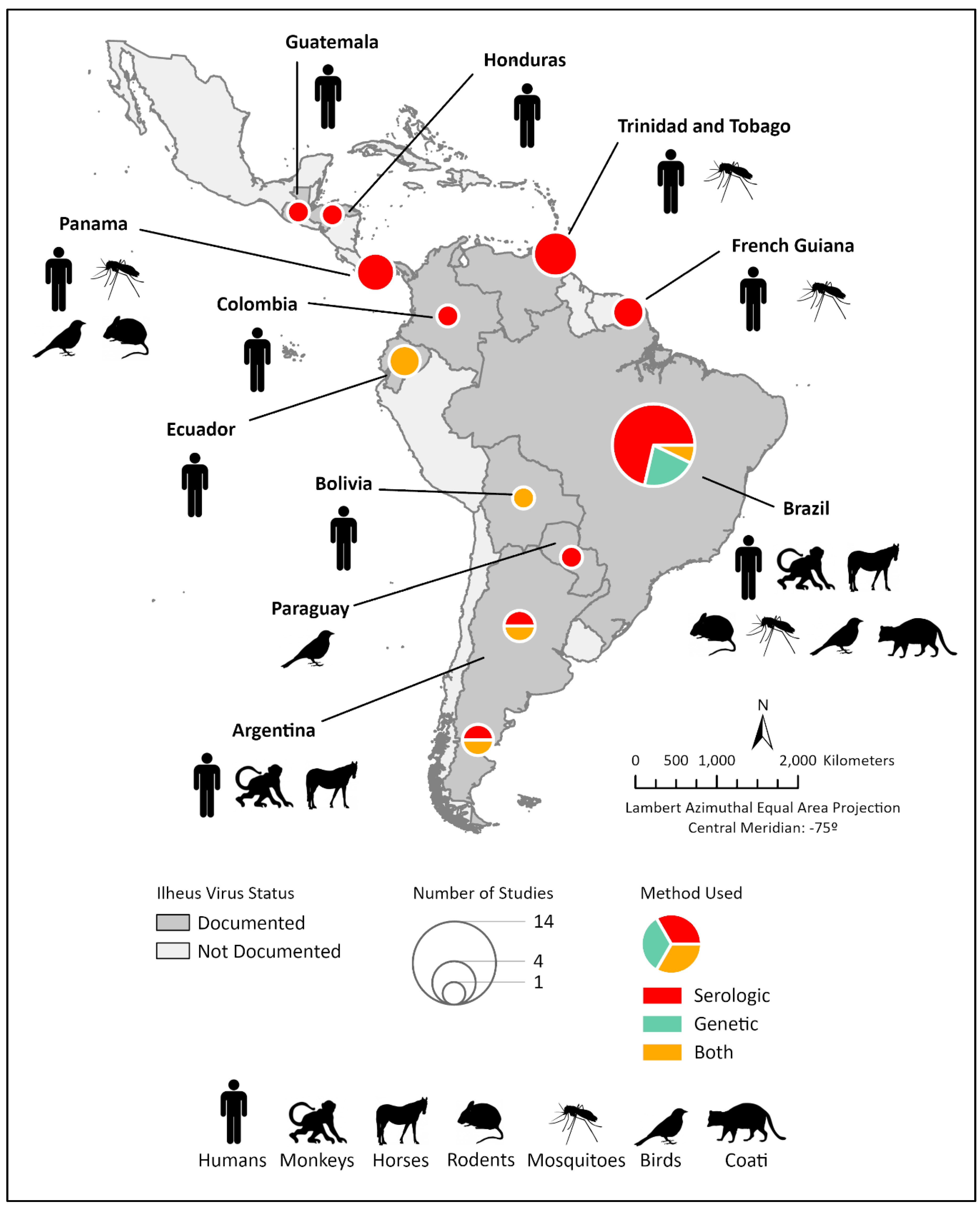 Viruses 15 00195 g001