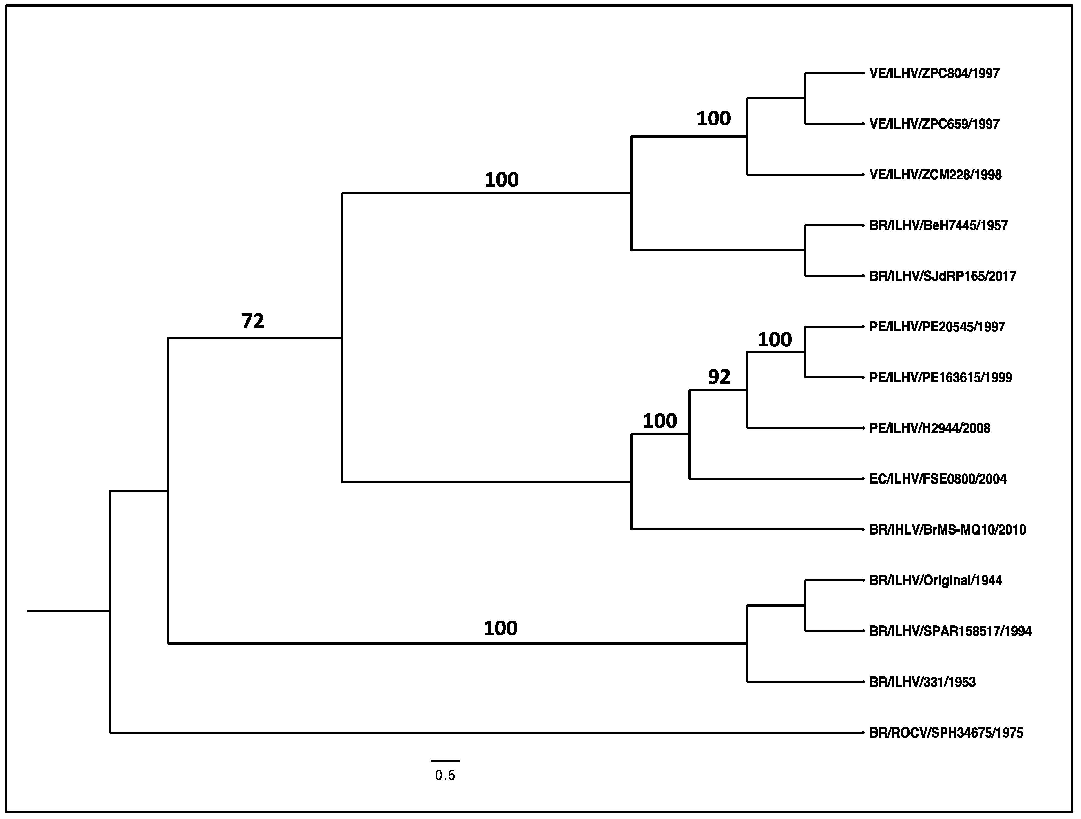 Viruses 15 00195 g003