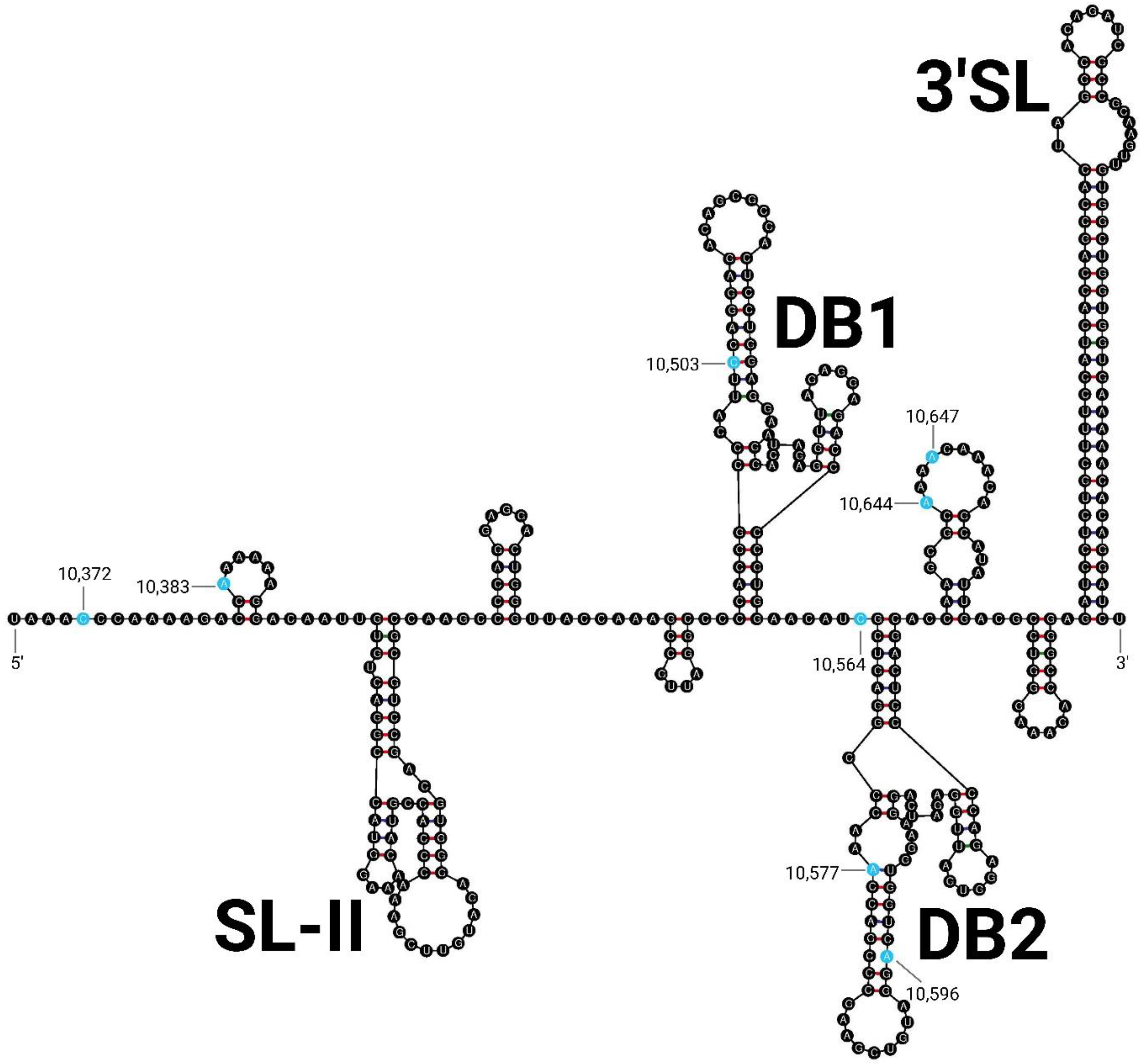 Viruses 15 00195 g005