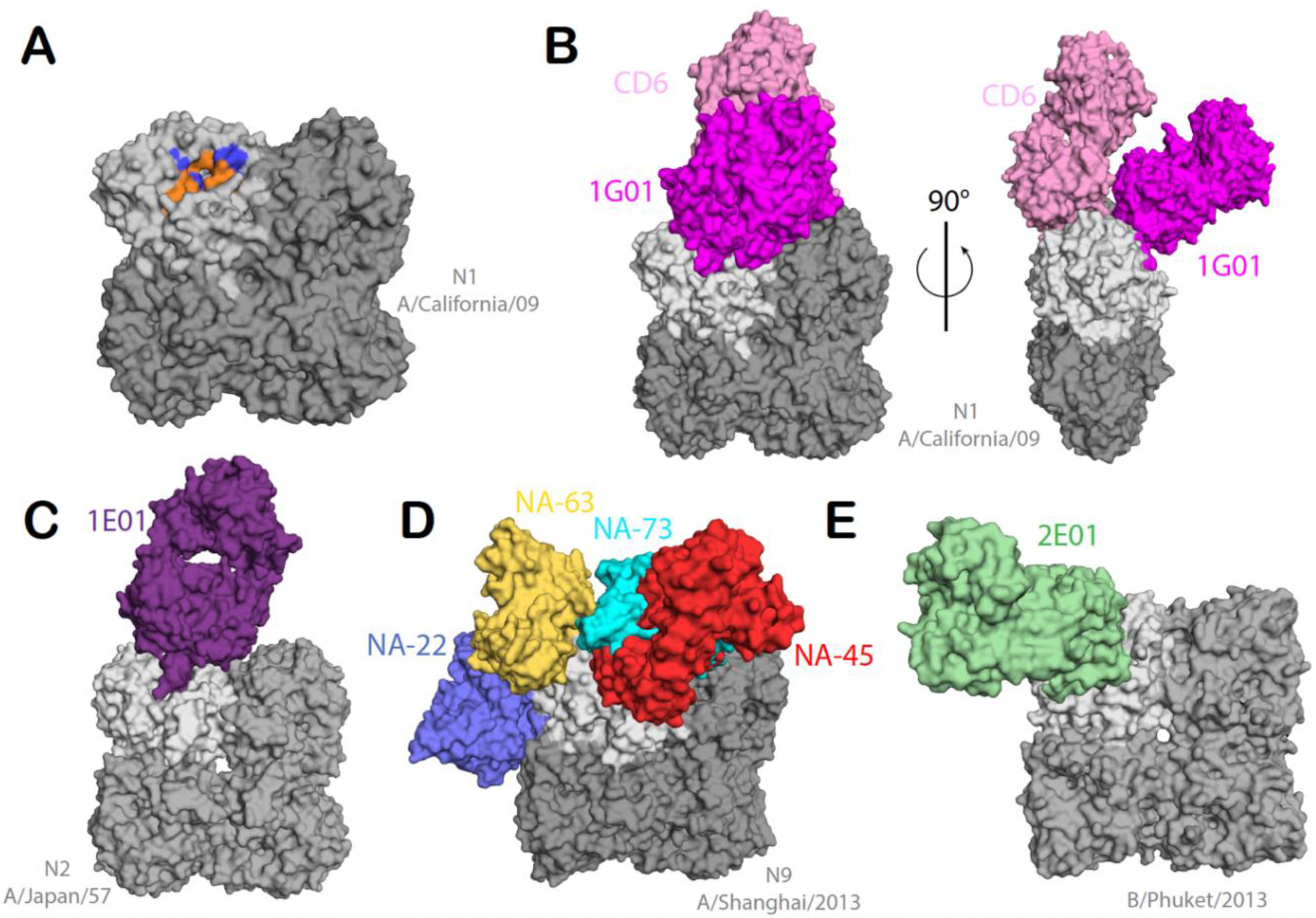 Viruses 15 00200 g002 Viruses 15 00200 g002