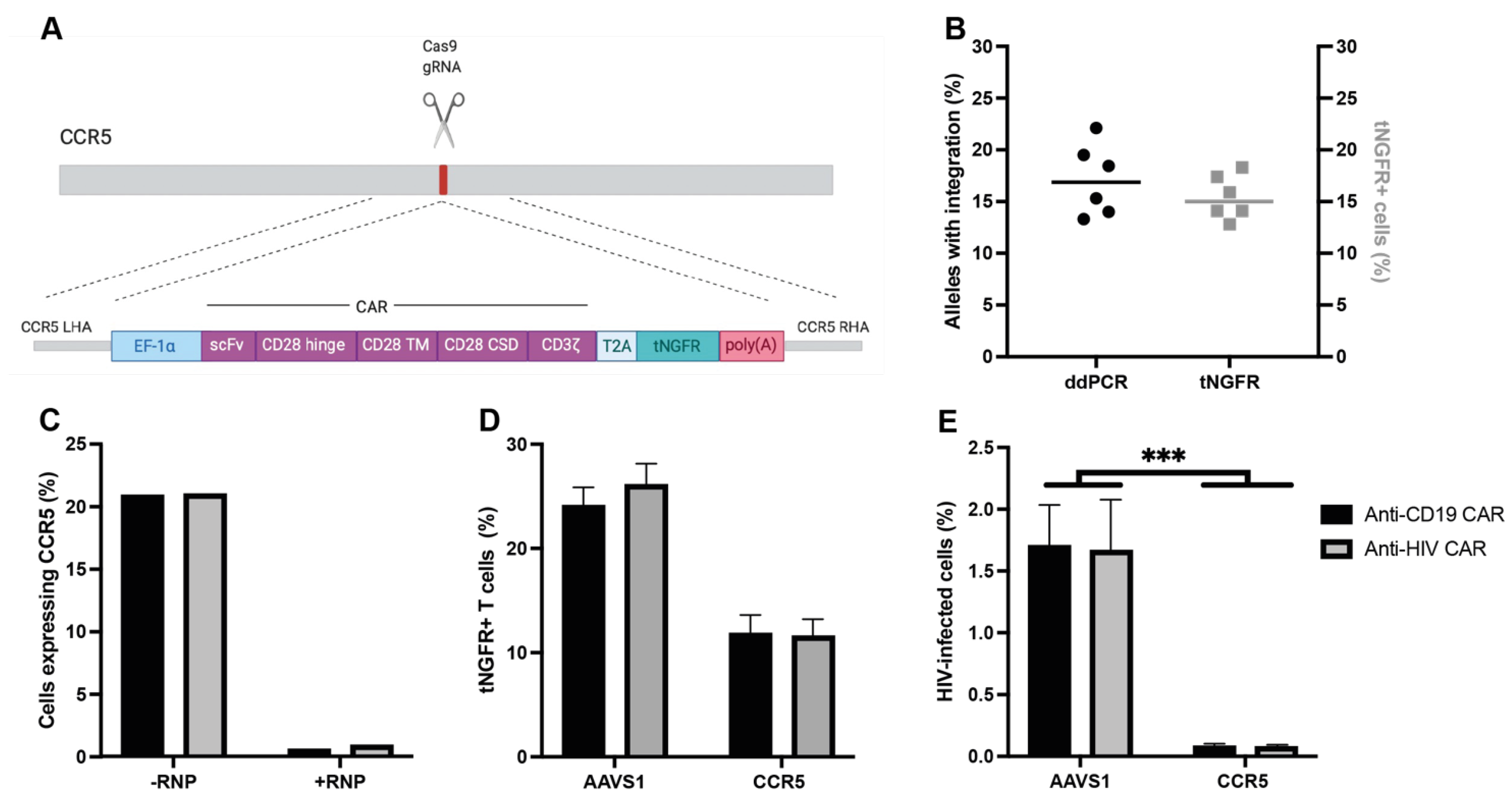 Viruses 15 00202 g001
