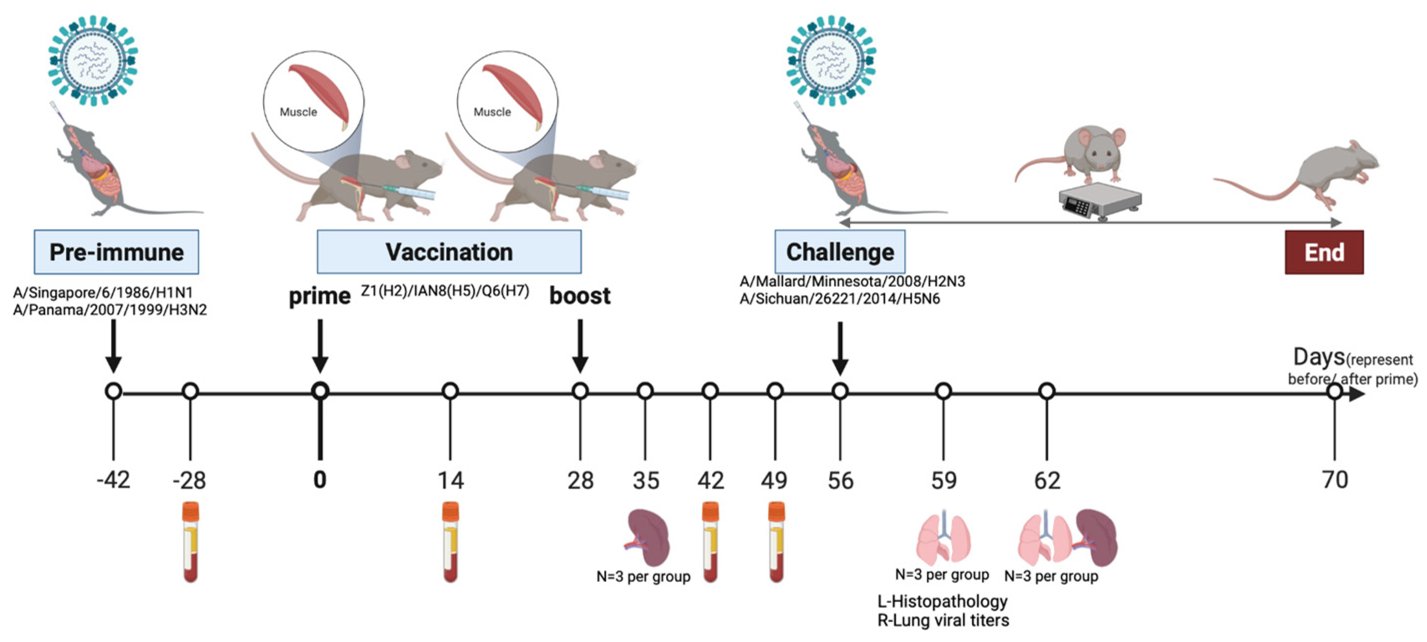 Viruses 15 00203 g001