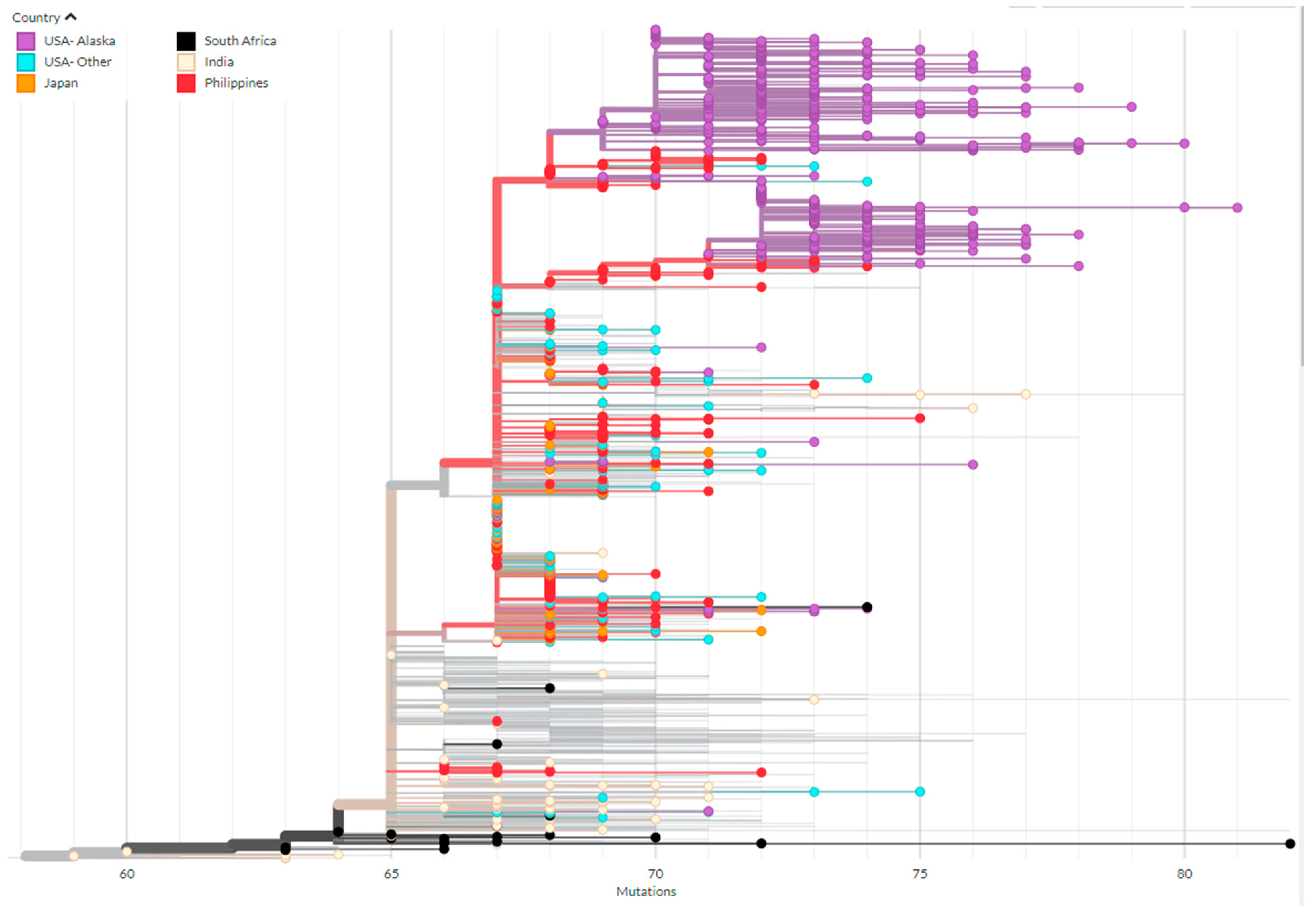 Viruses 15 00222 g005