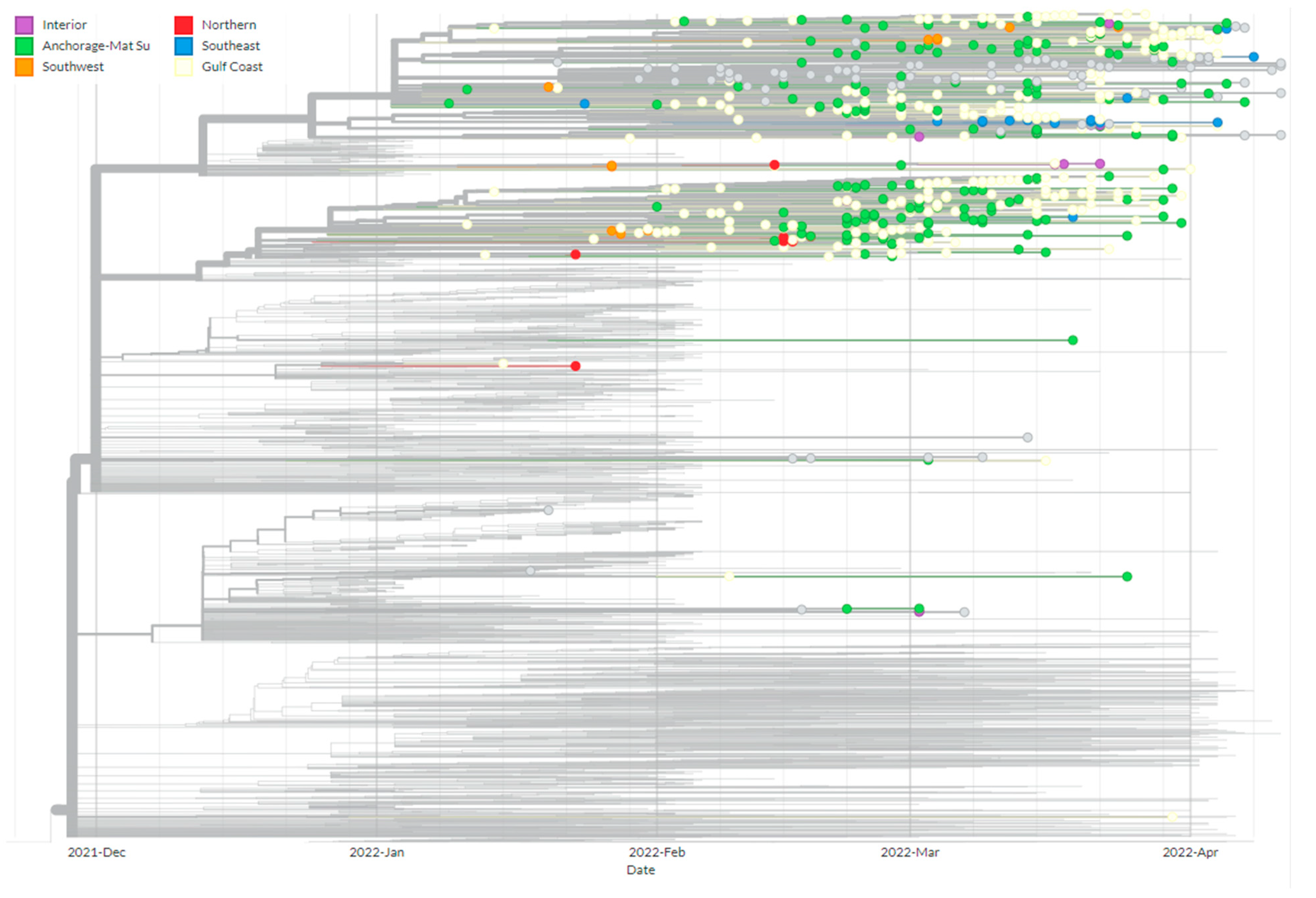 Viruses 15 00222 g006