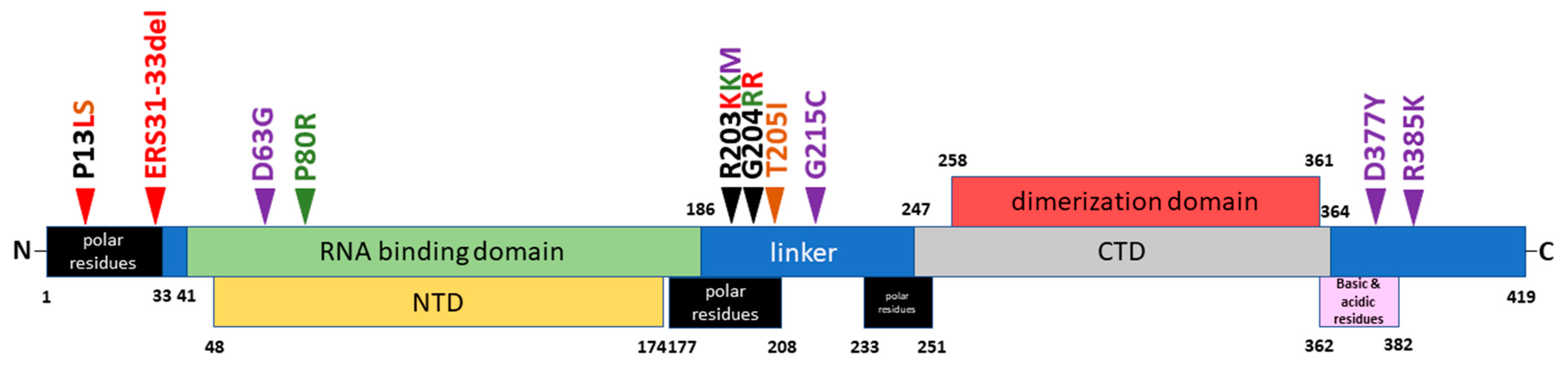 Viruses 15 00230 g003