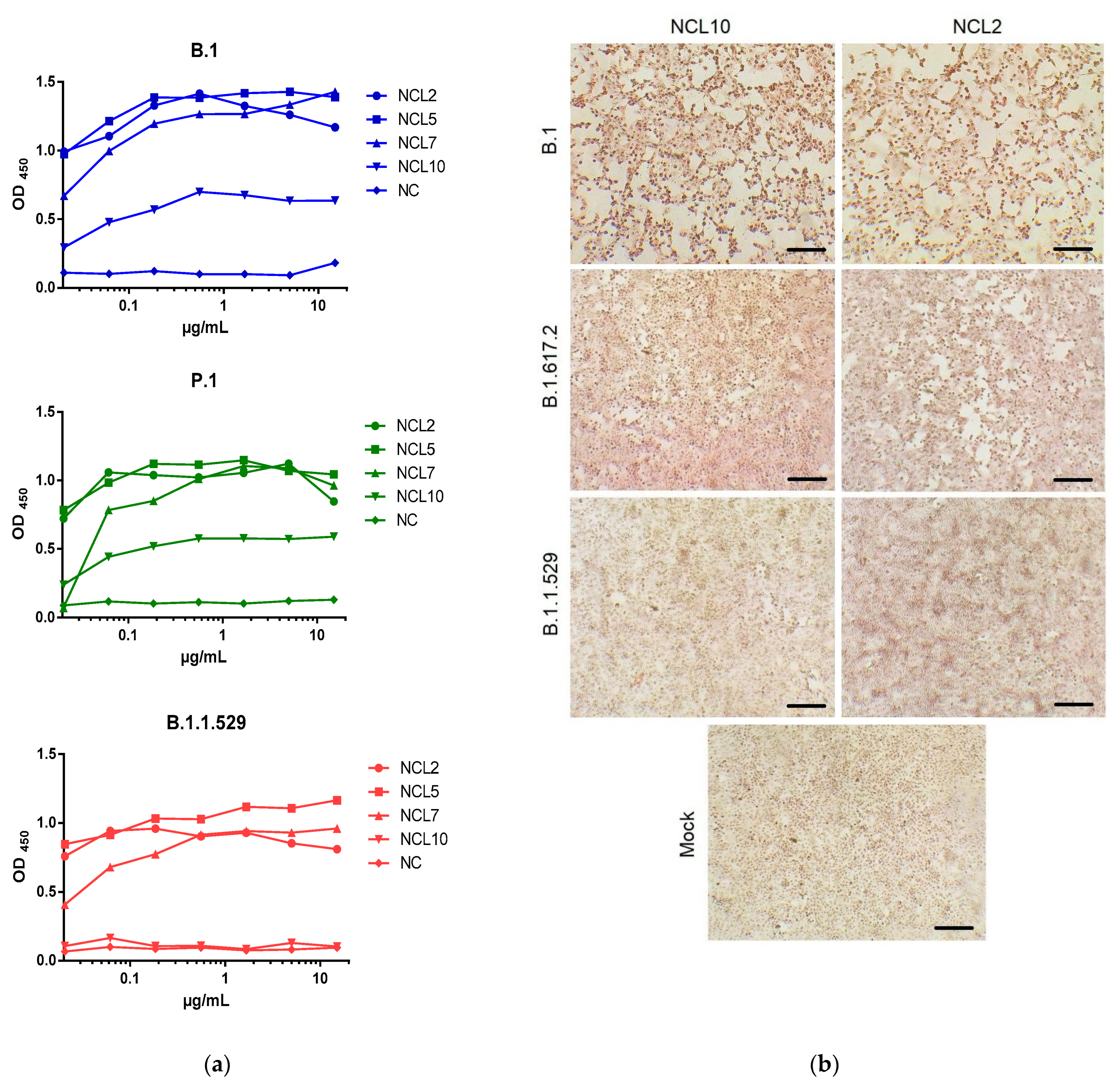 Viruses 15 00230 g005