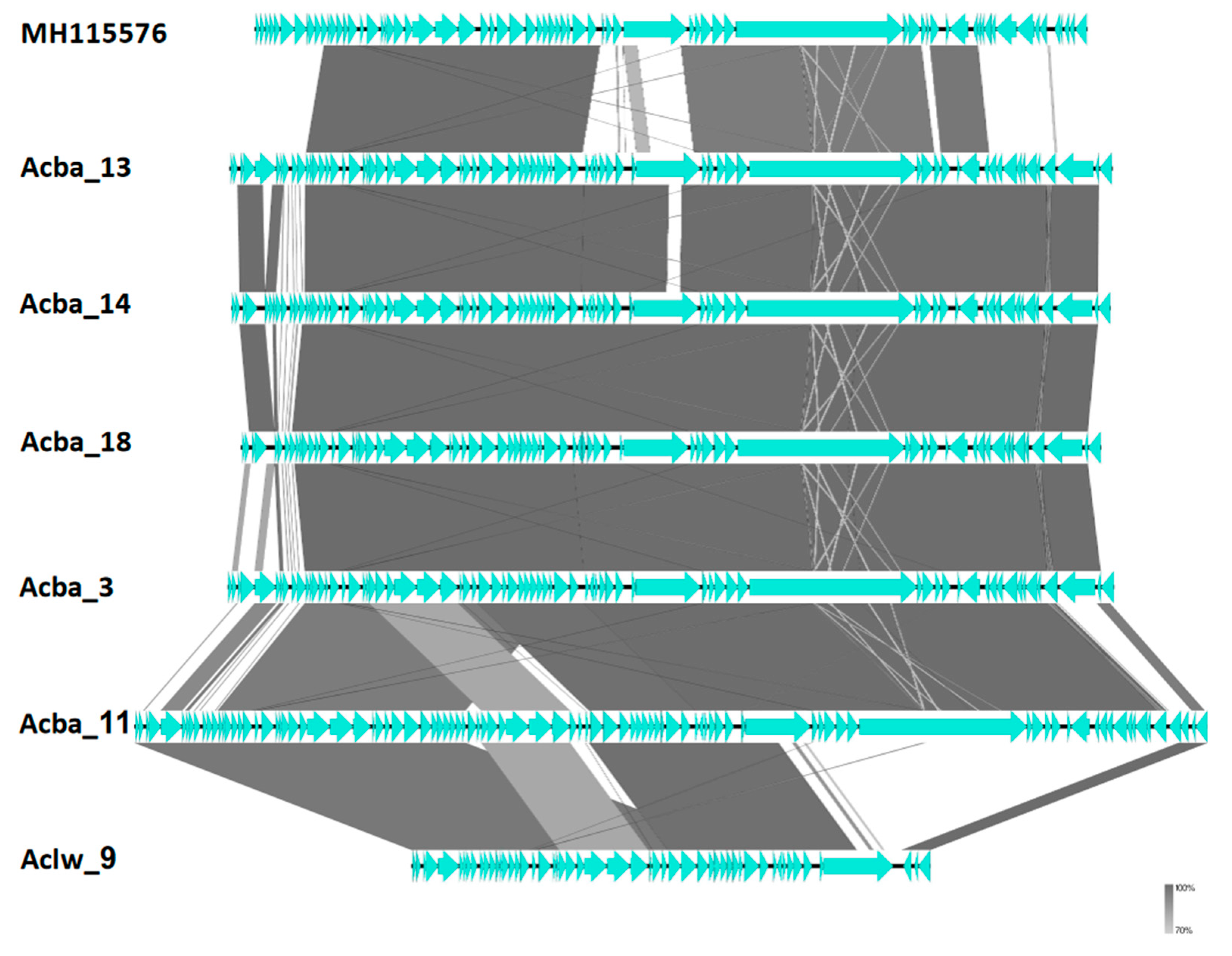 Viruses 15 00231 g004