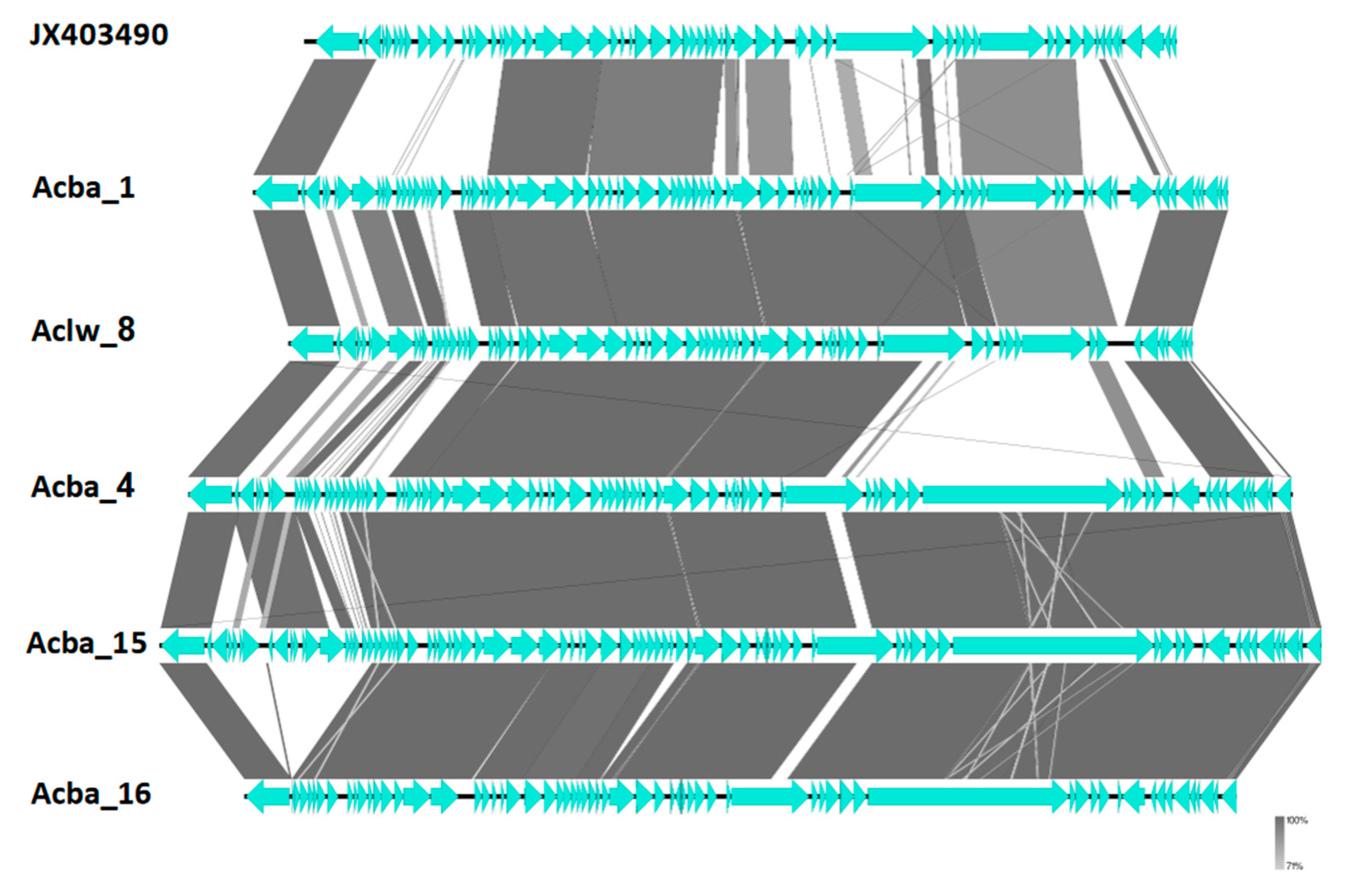 Viruses 15 00231 g005