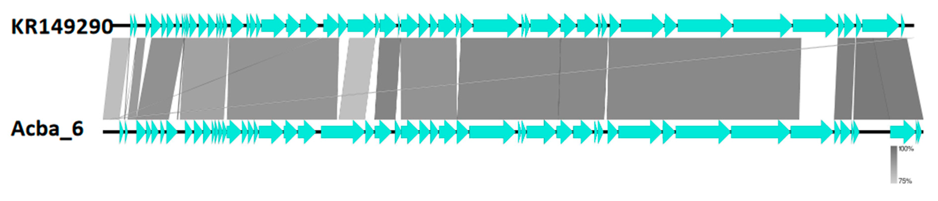 Viruses 15 00231 g006