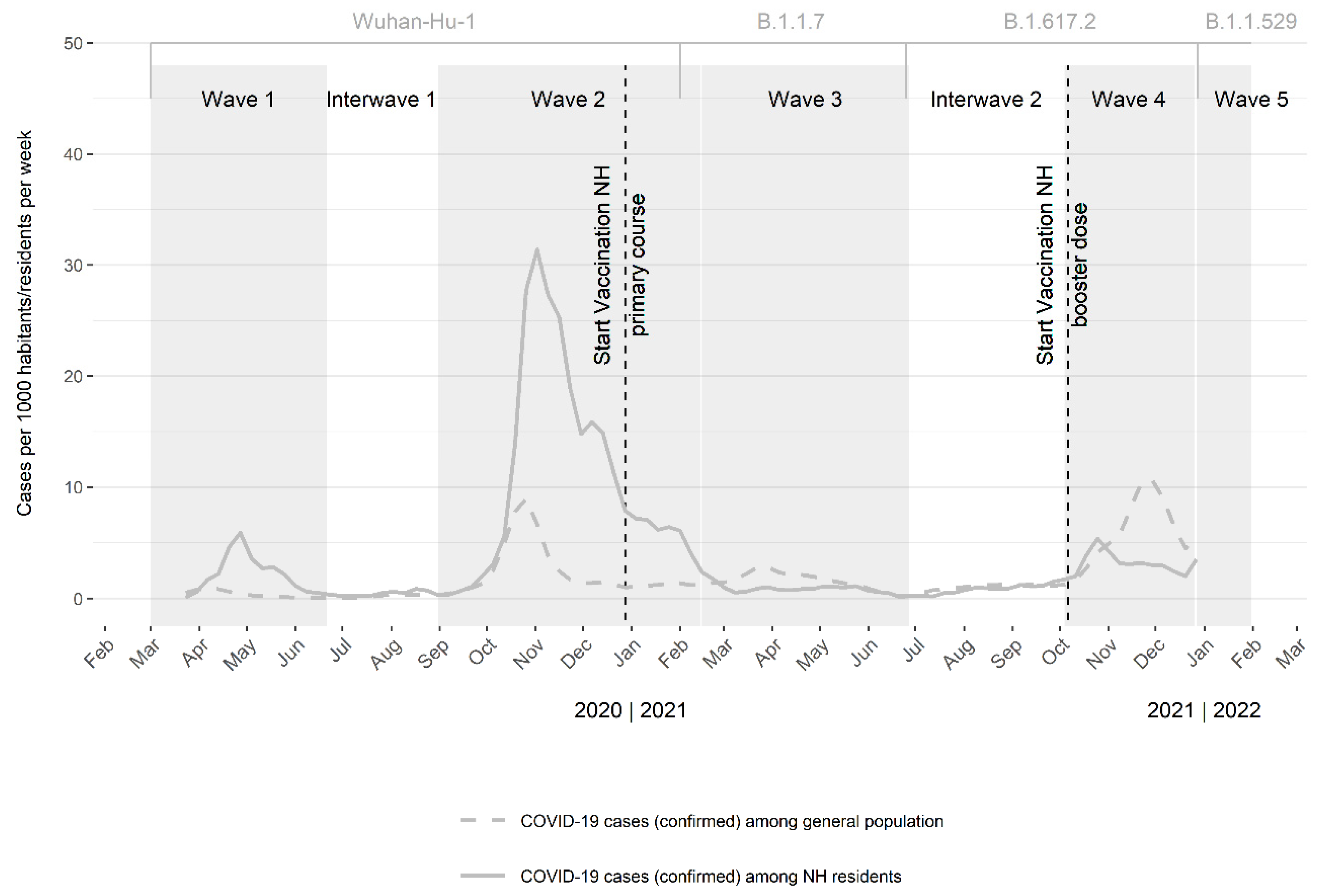 Viruses 15 00232 g001