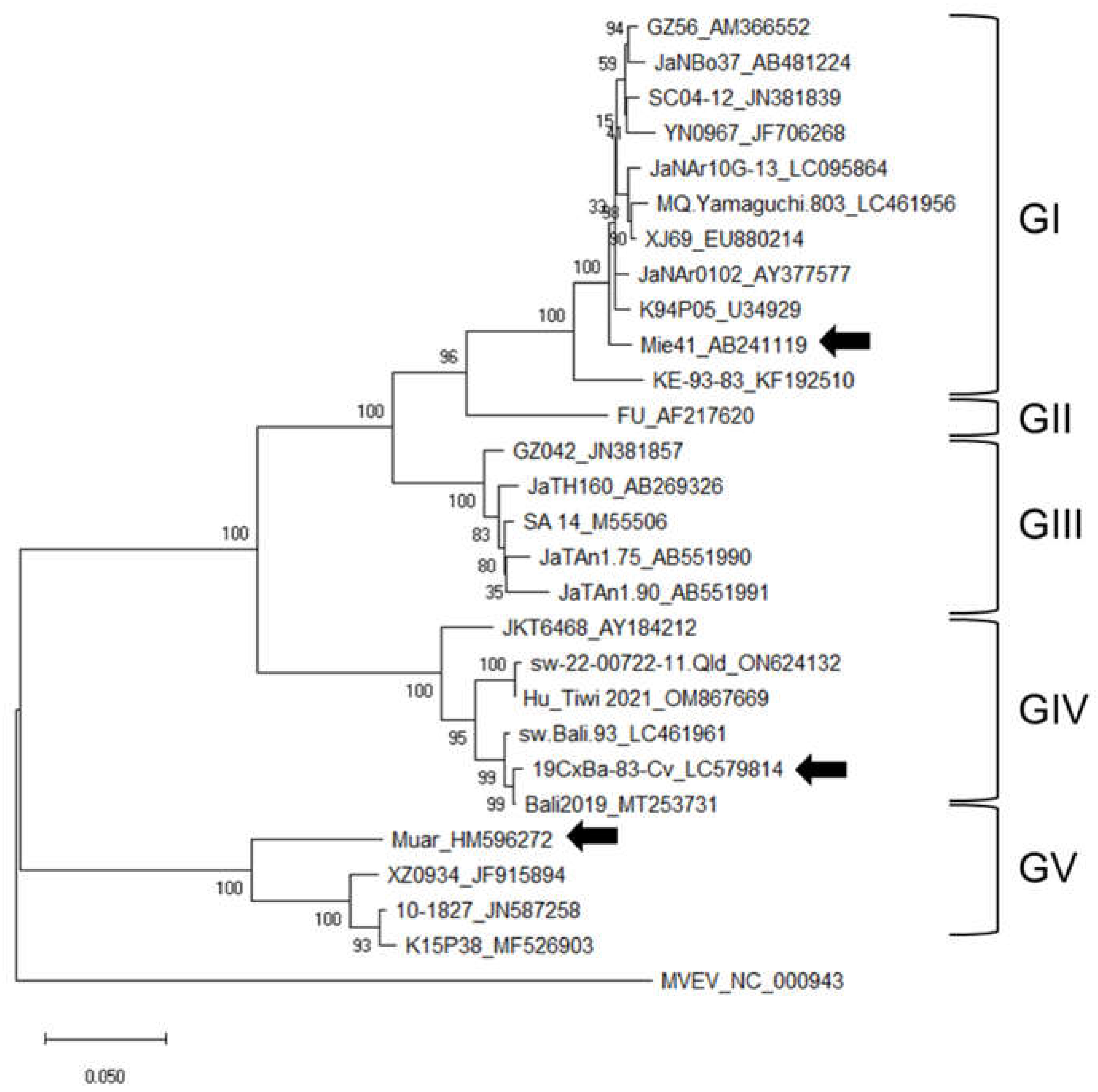 Viruses 15 00239 g001
