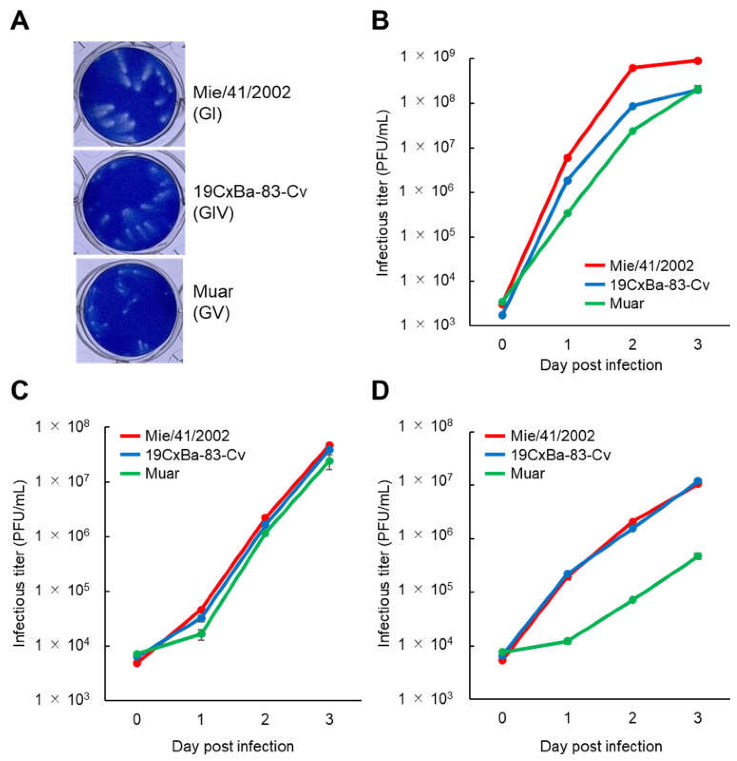 Viruses 15 00239 g002