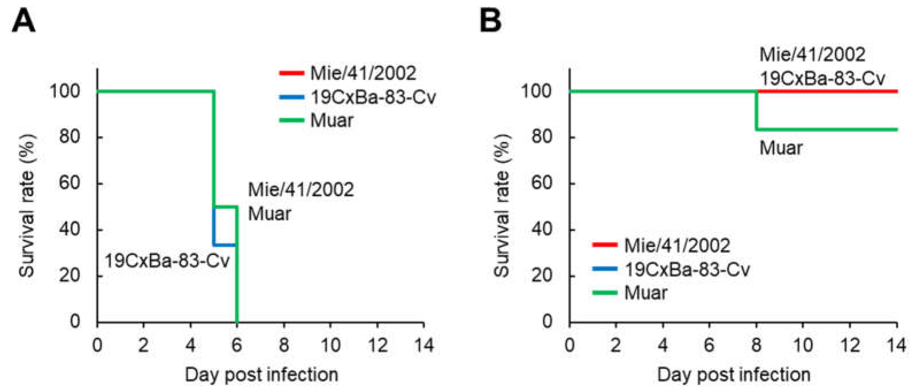 Viruses 15 00239 g004